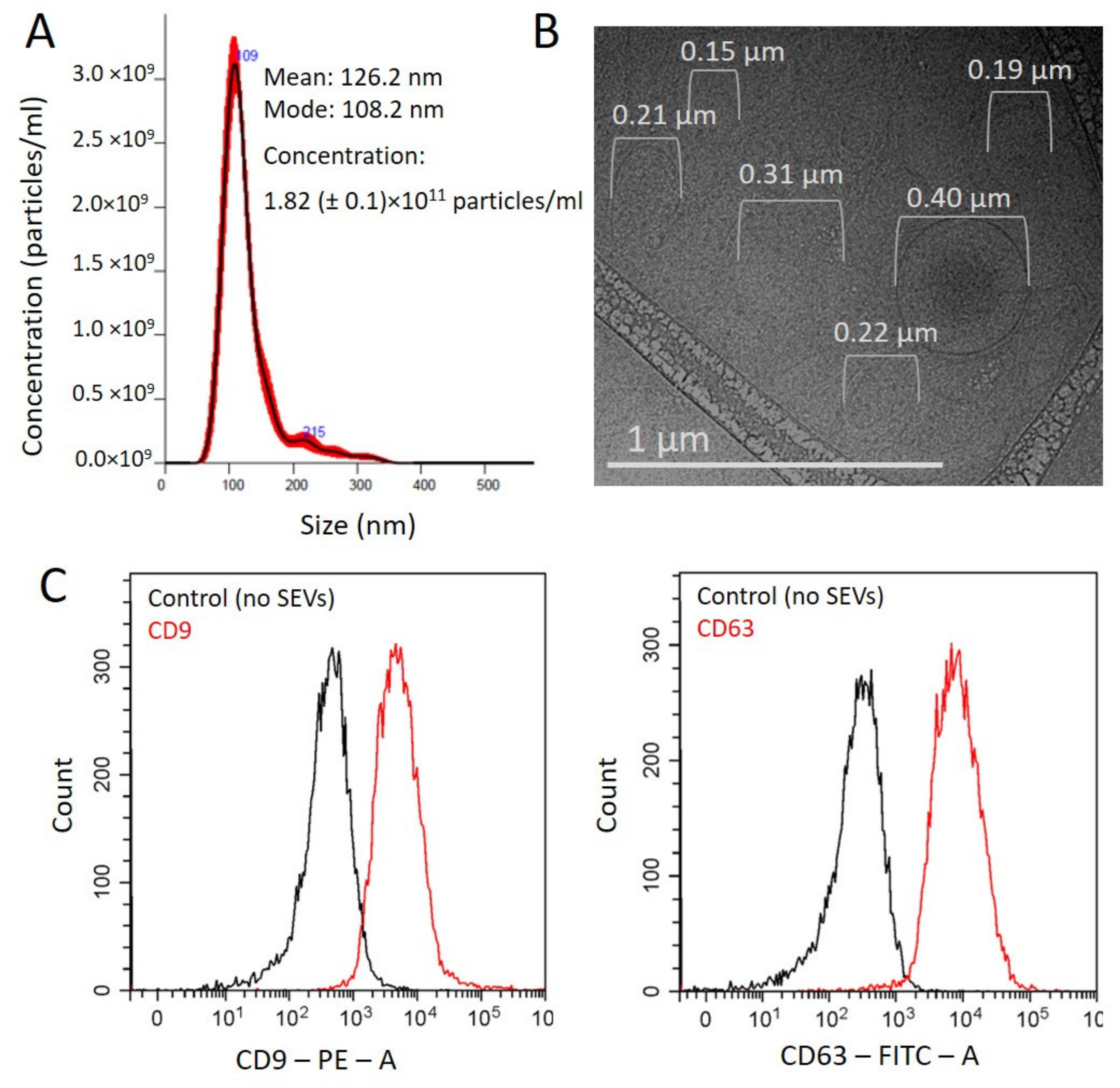 Cells 10 02372 g001 Cells 10 02372 g001