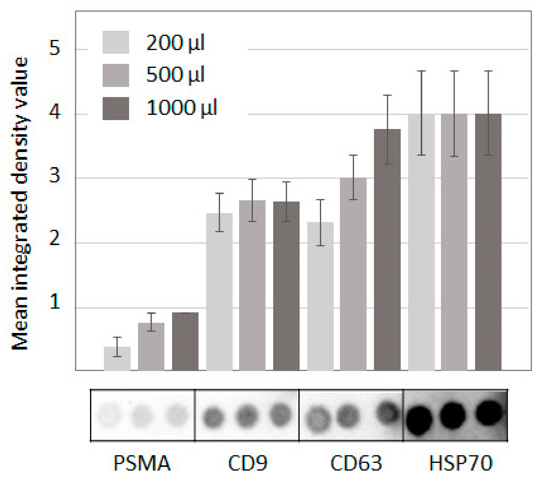 Cells 10 02372 g002 Cells 10 02372 g002