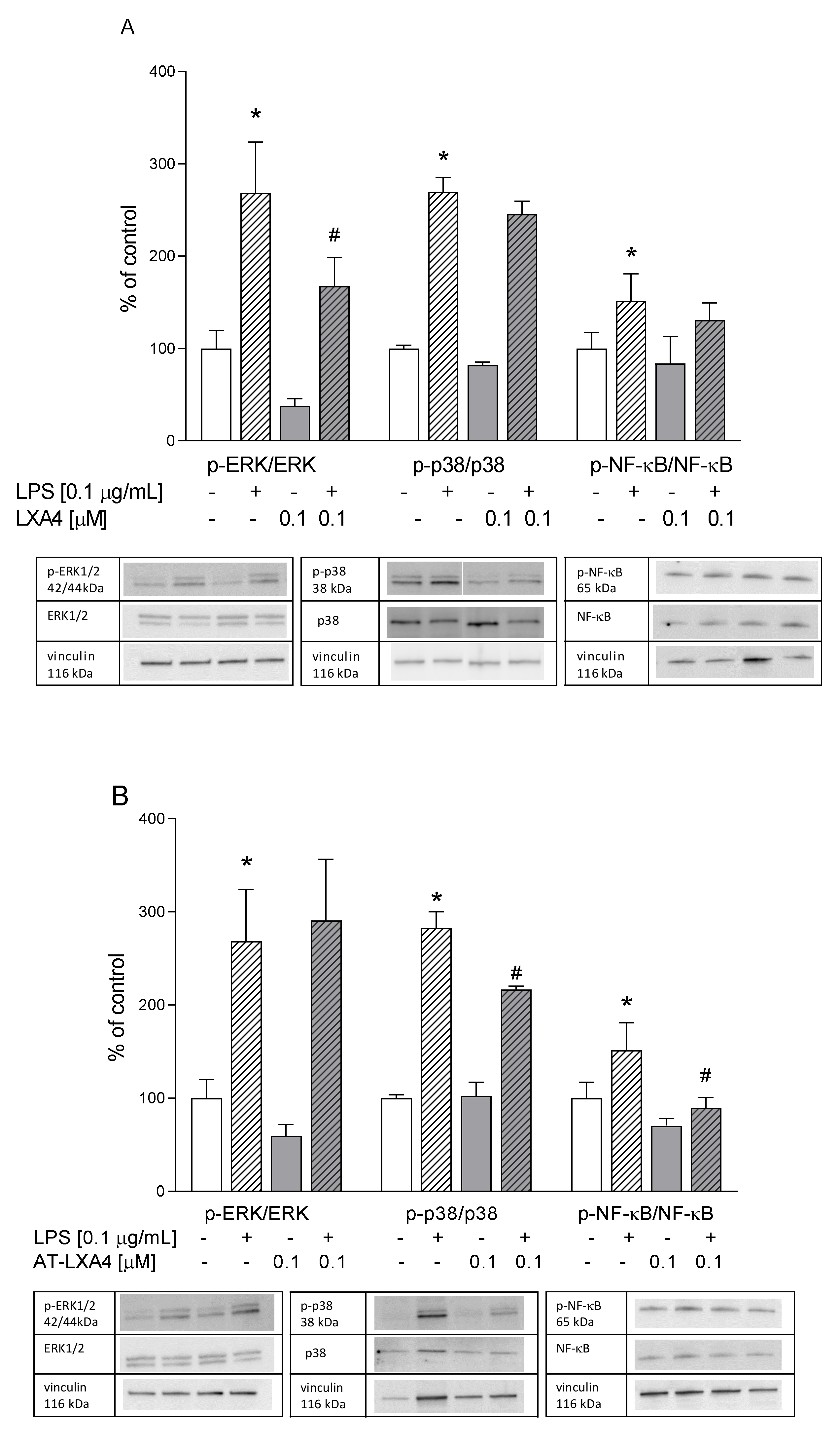 Cells 10 02373 g011a
