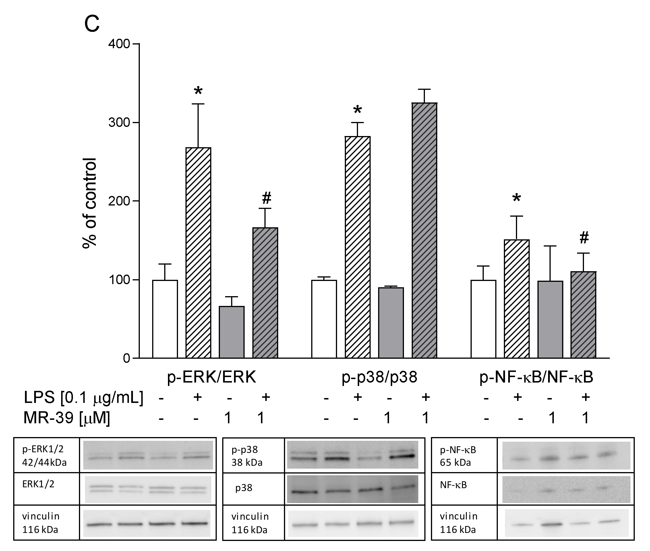 Cells 10 02373 g011b