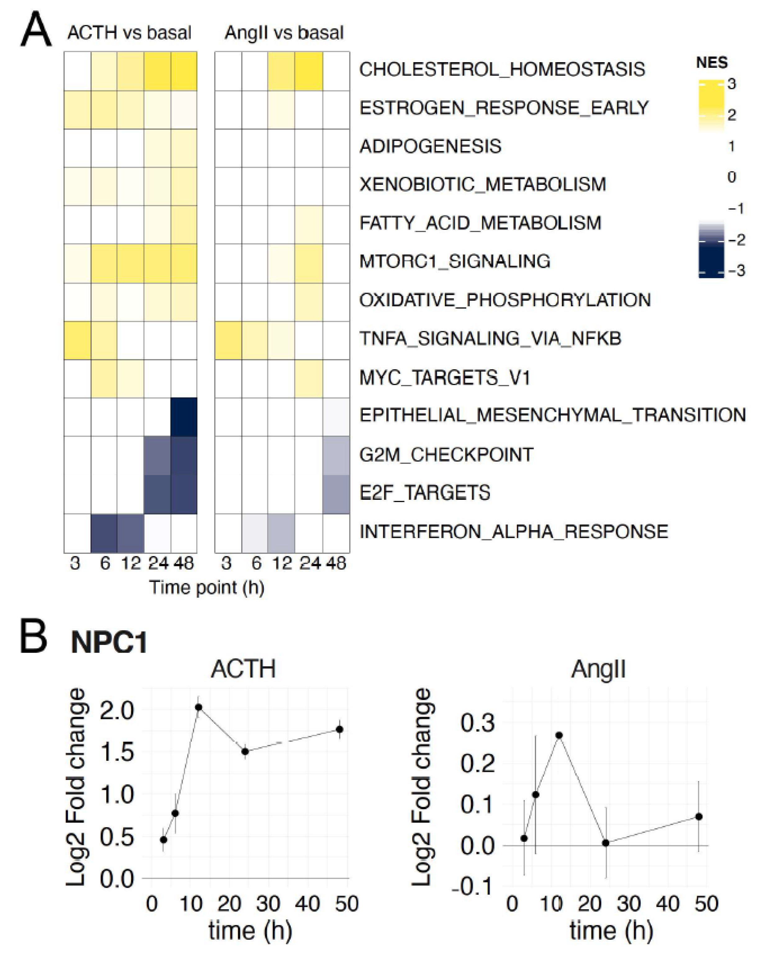 Cells 10 02376 g003 550
