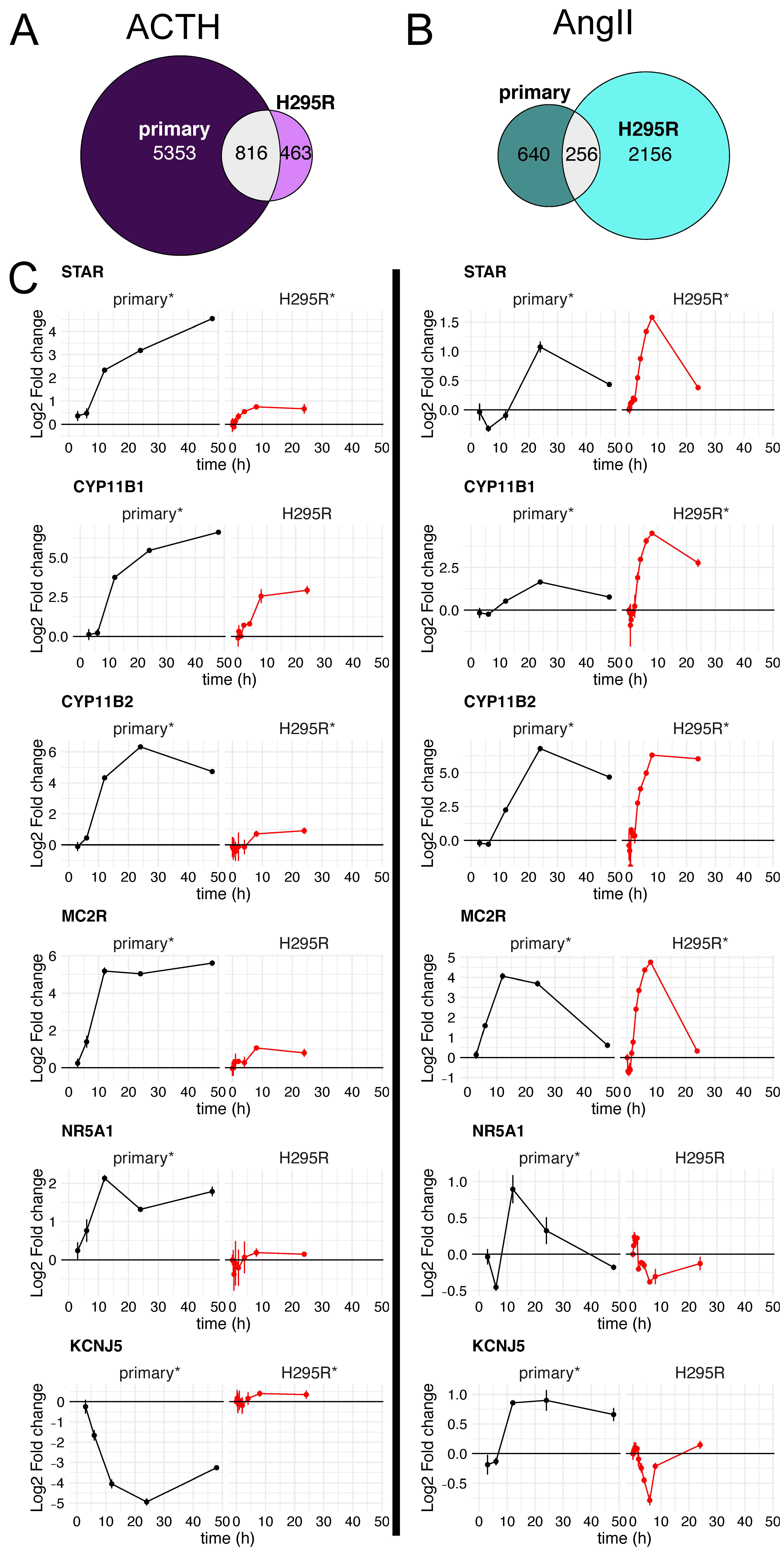 Cells 10 02376 g005 550