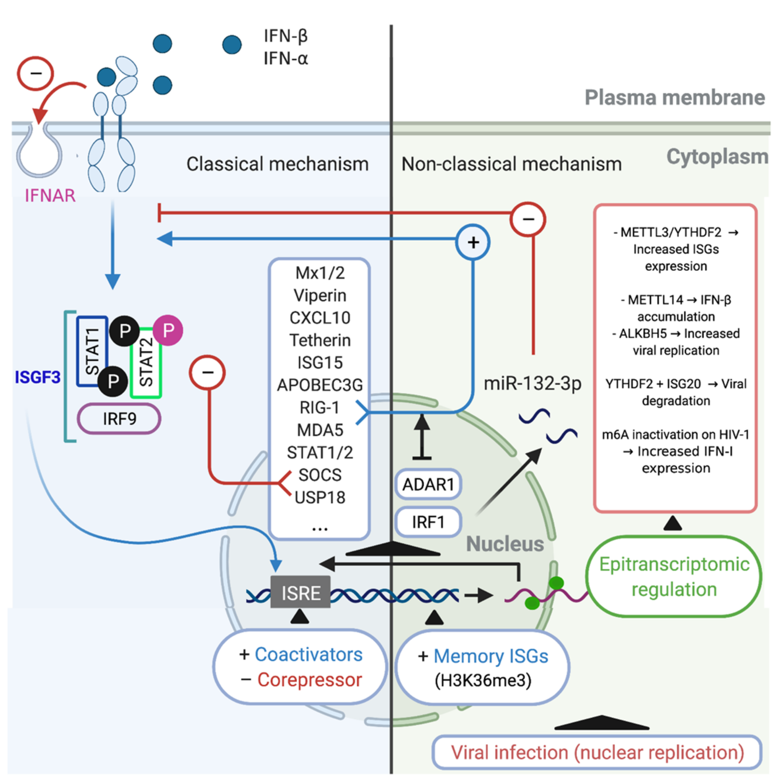Cells 10 02378 g001 Cells 10 02378 g001