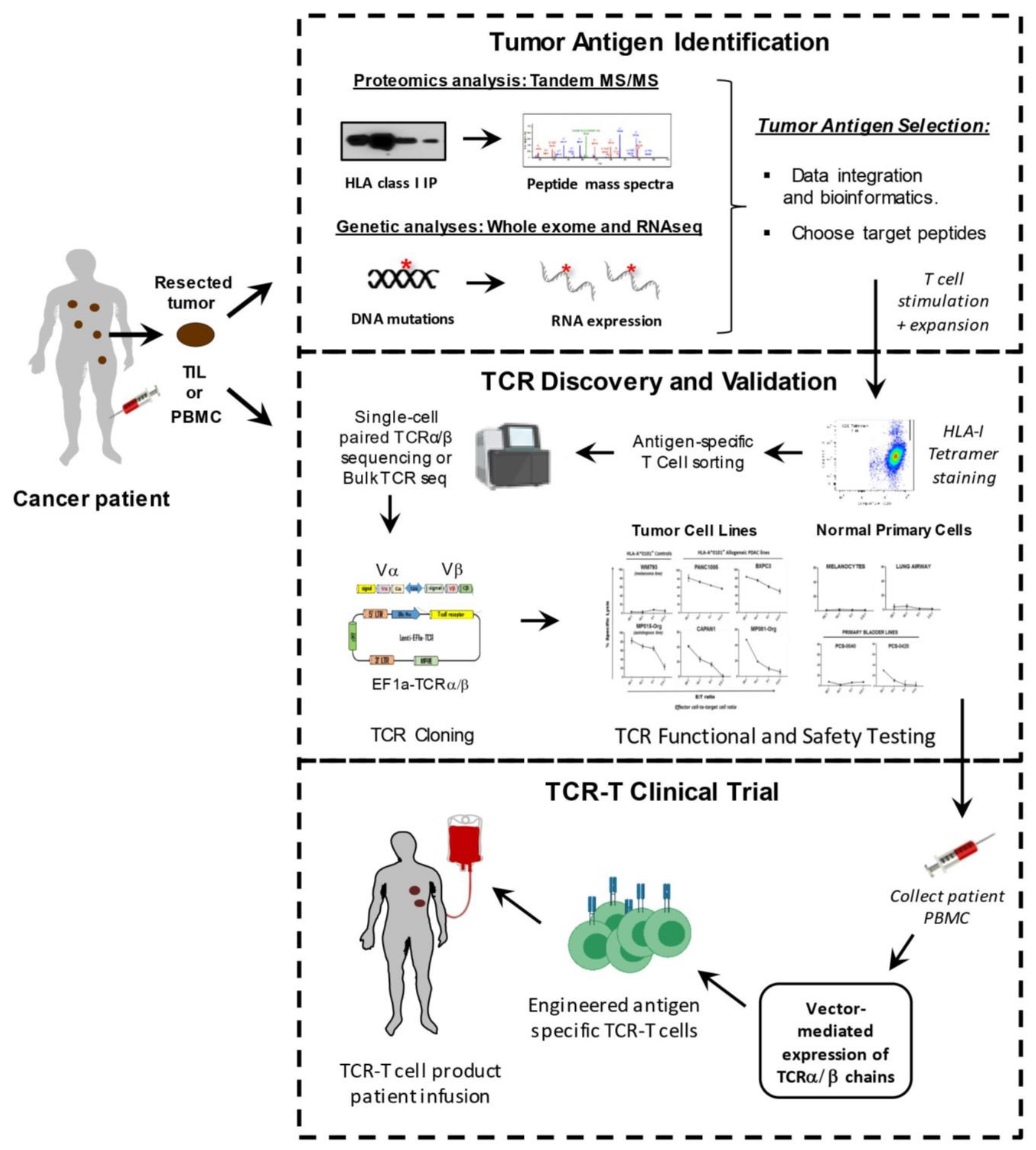 Cells 10 02379 g002 Cells 10 02379 g002