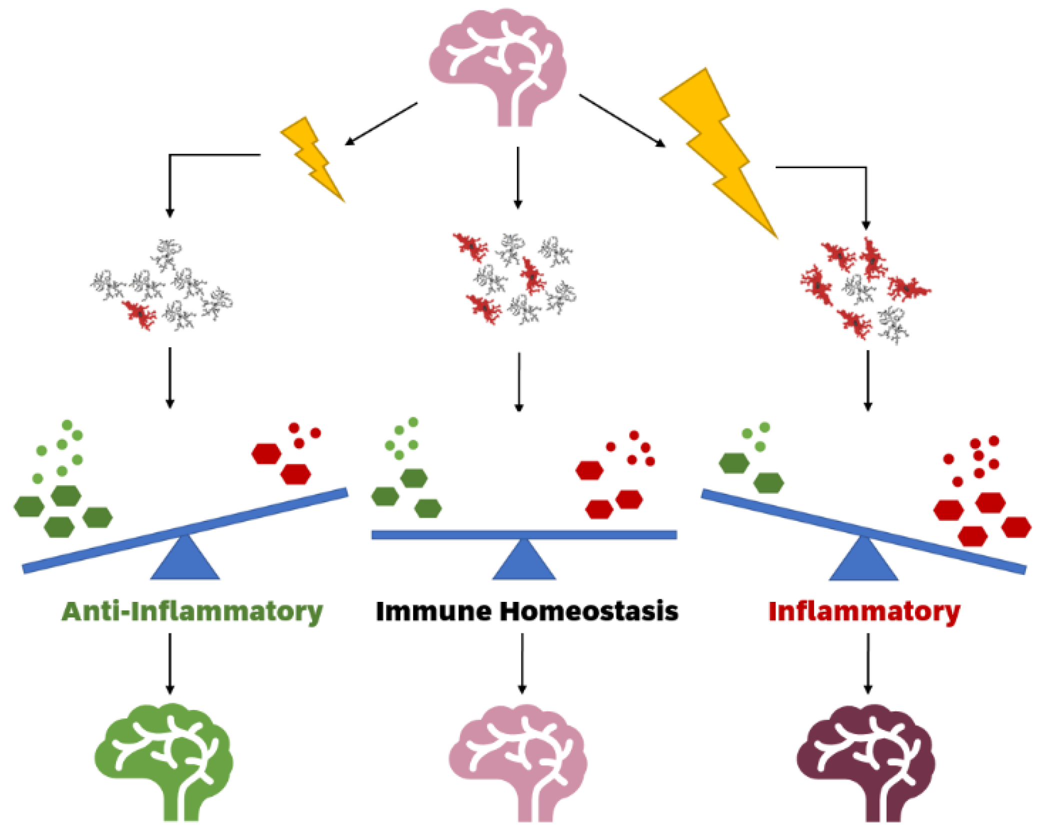 Cells 10 02381 g001 550