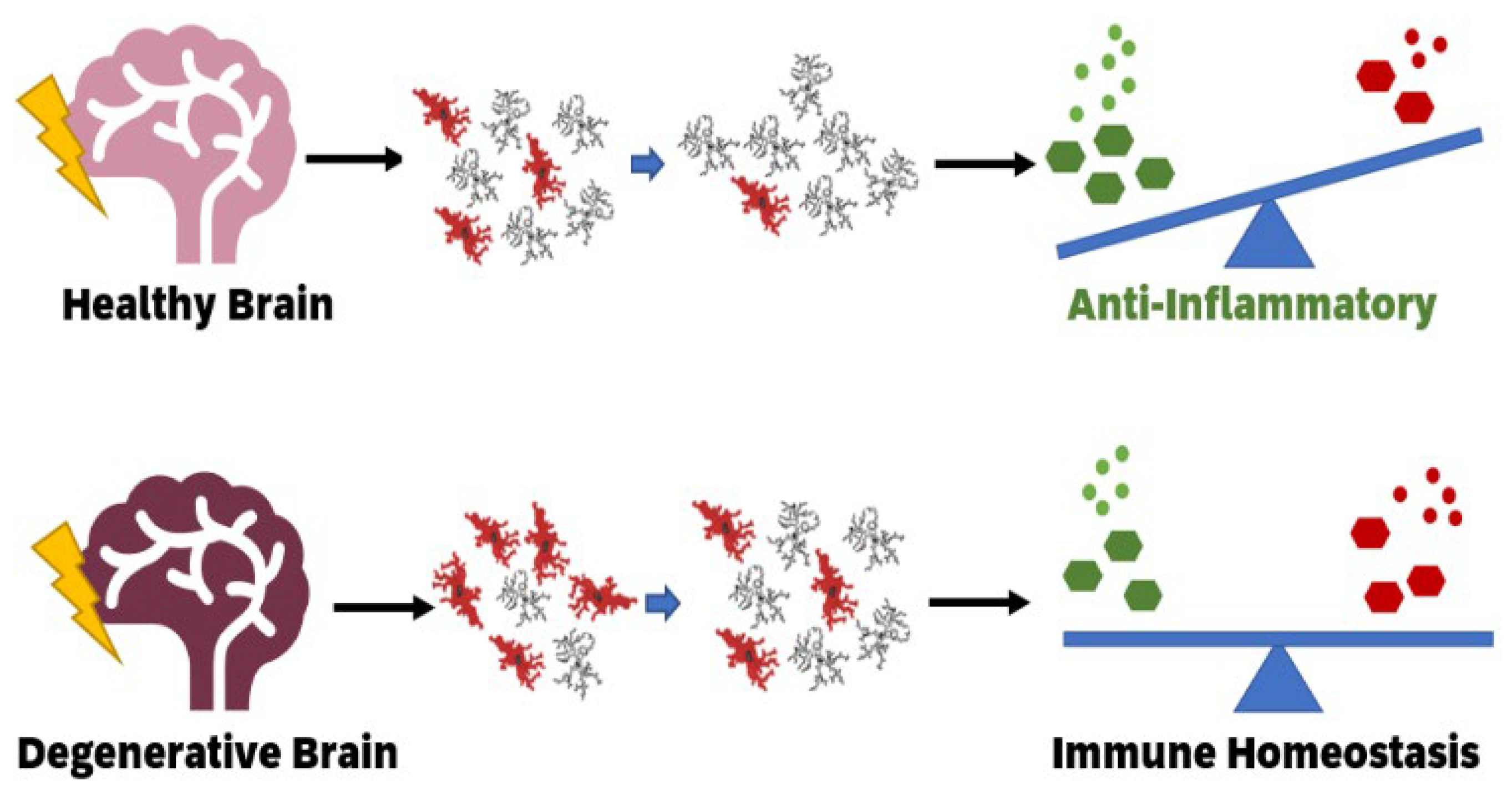 Cells 10 02381 g002 550