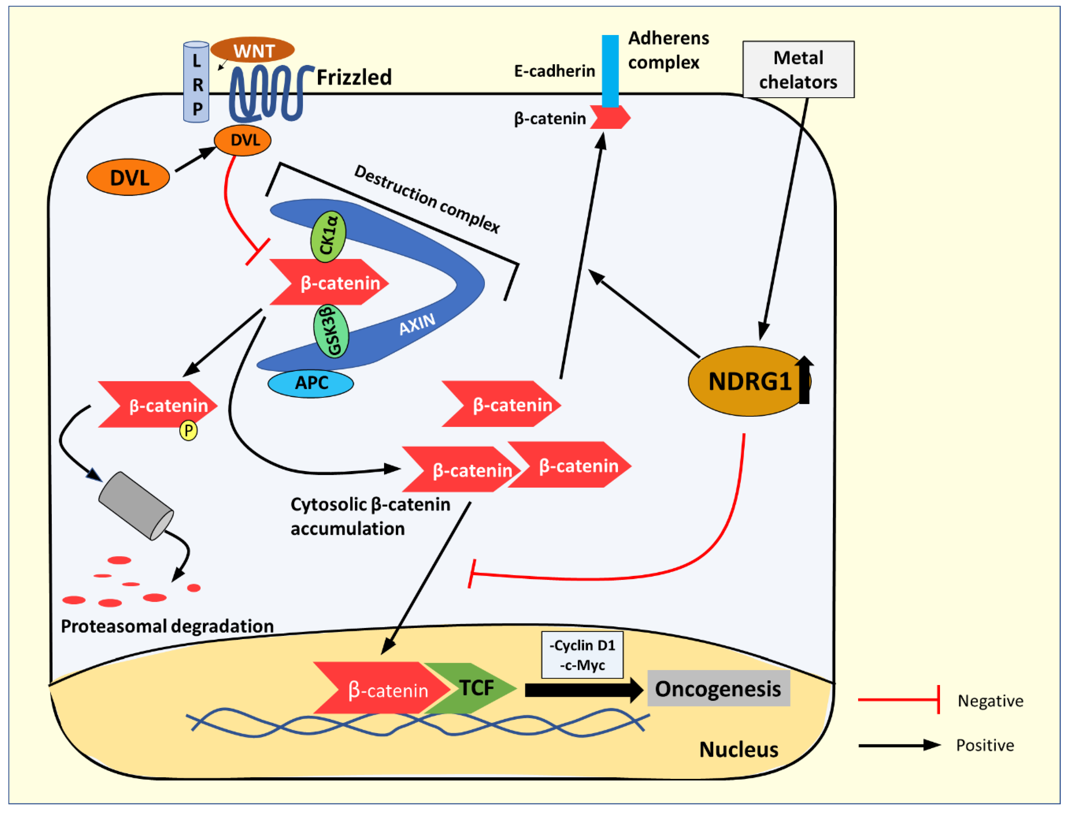 Cells 10 02382 g010 Cells 10 02382 g010