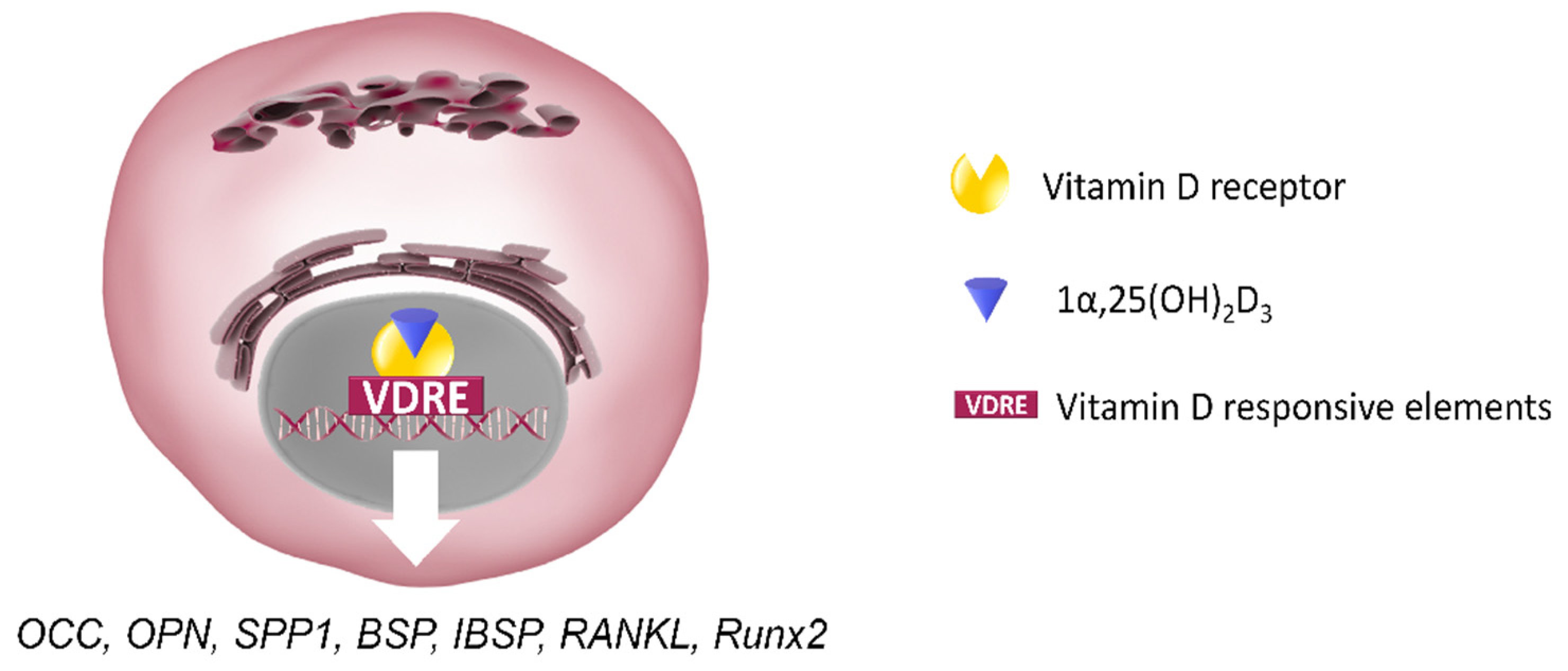 Cells 10 02383 g005 Cells 10 02383 g005