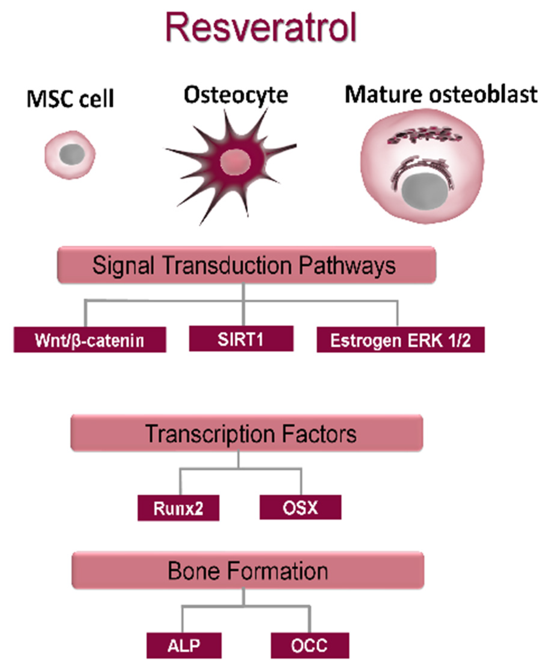 Cells 10 02383 g008 Cells 10 02383 g008