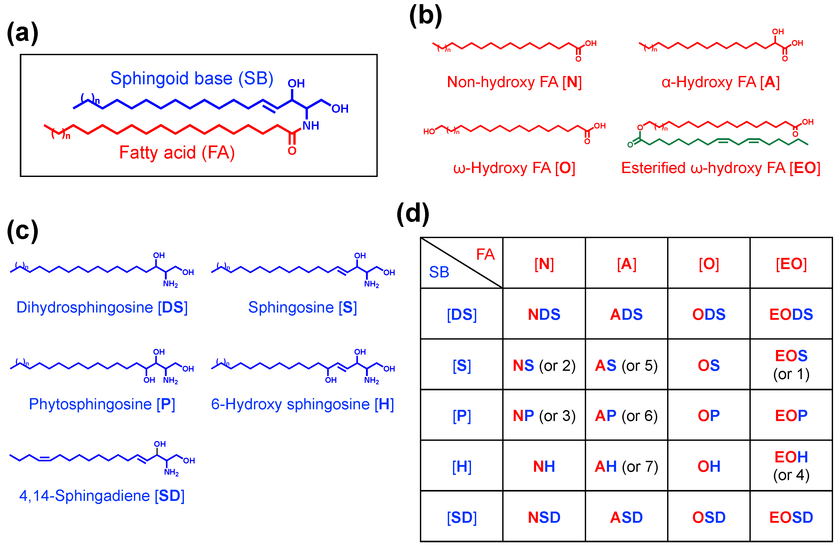 Cells 10 02386 g002 Cells 10 02386 g002