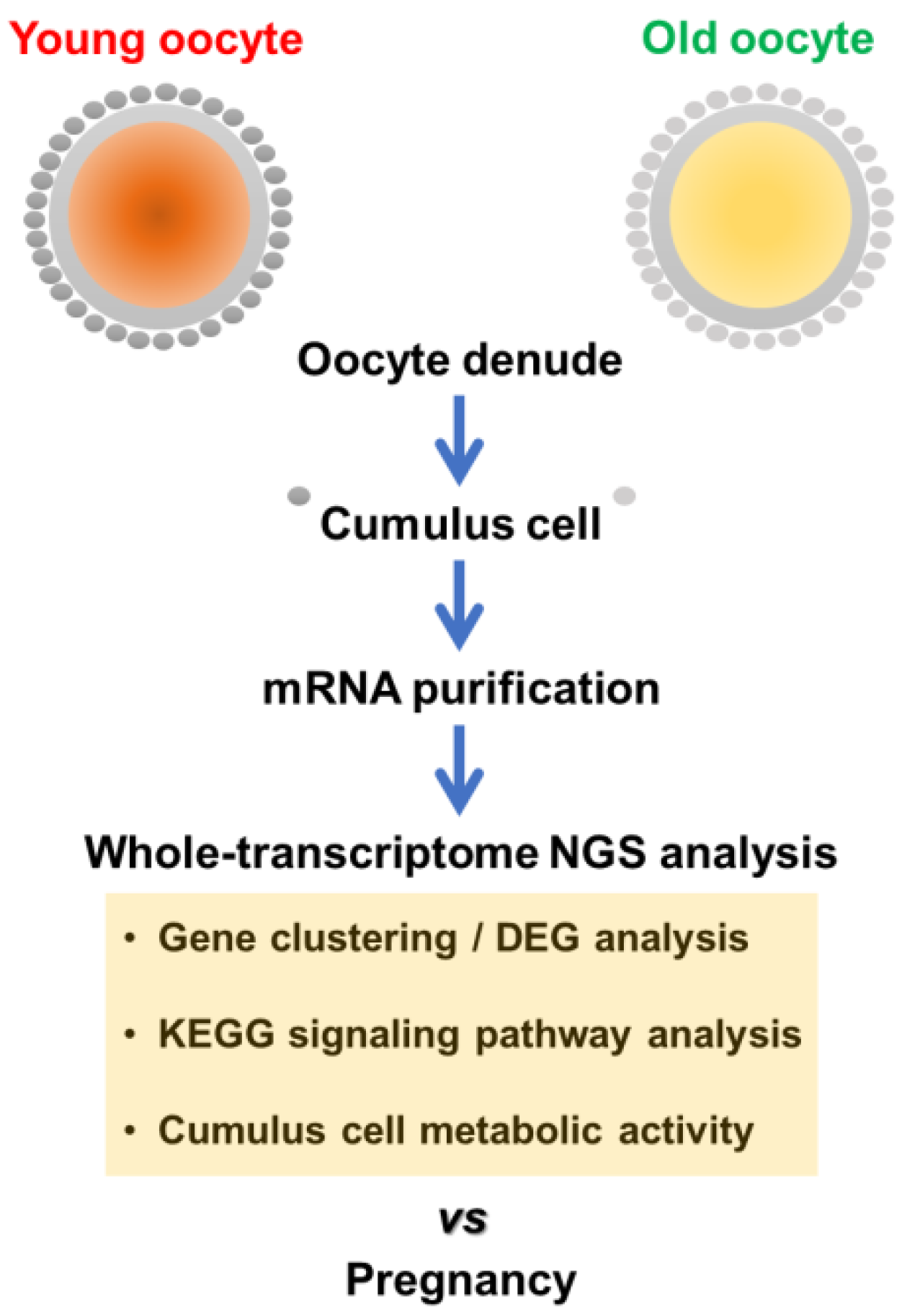 Cells 10 02389 sch001
