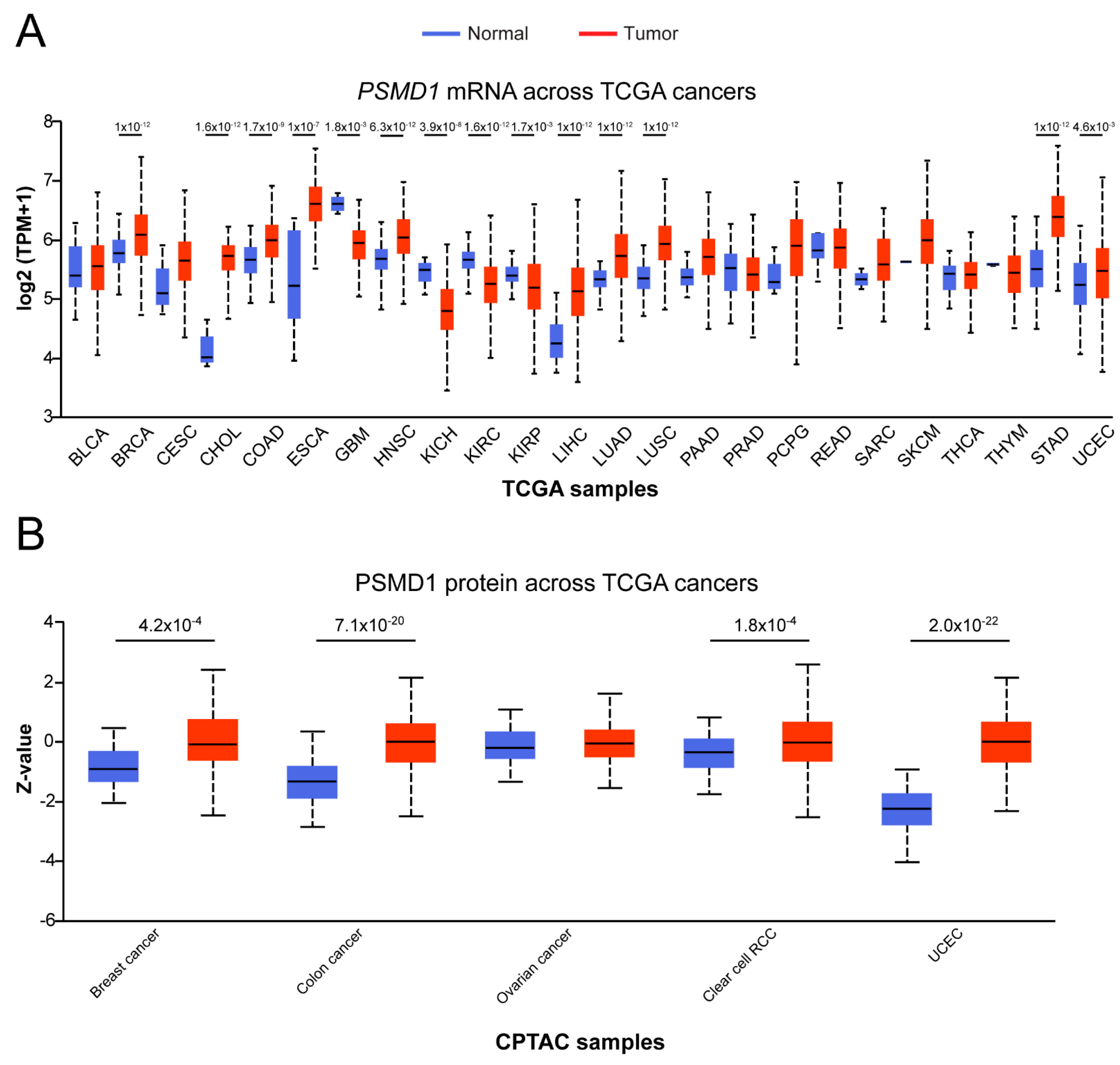 Cells 10 02390 g001 550