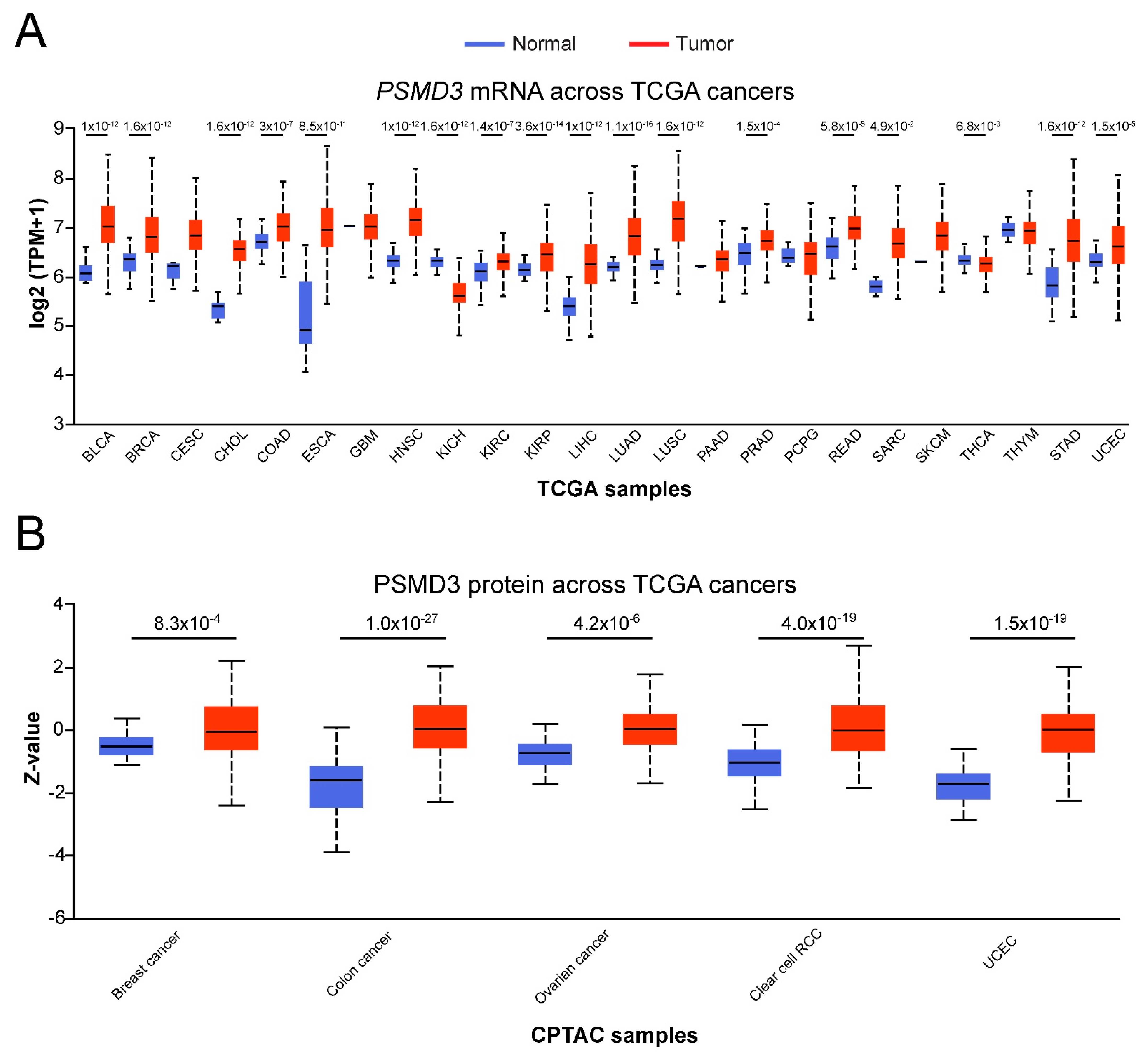 Cells 10 02390 g002 550