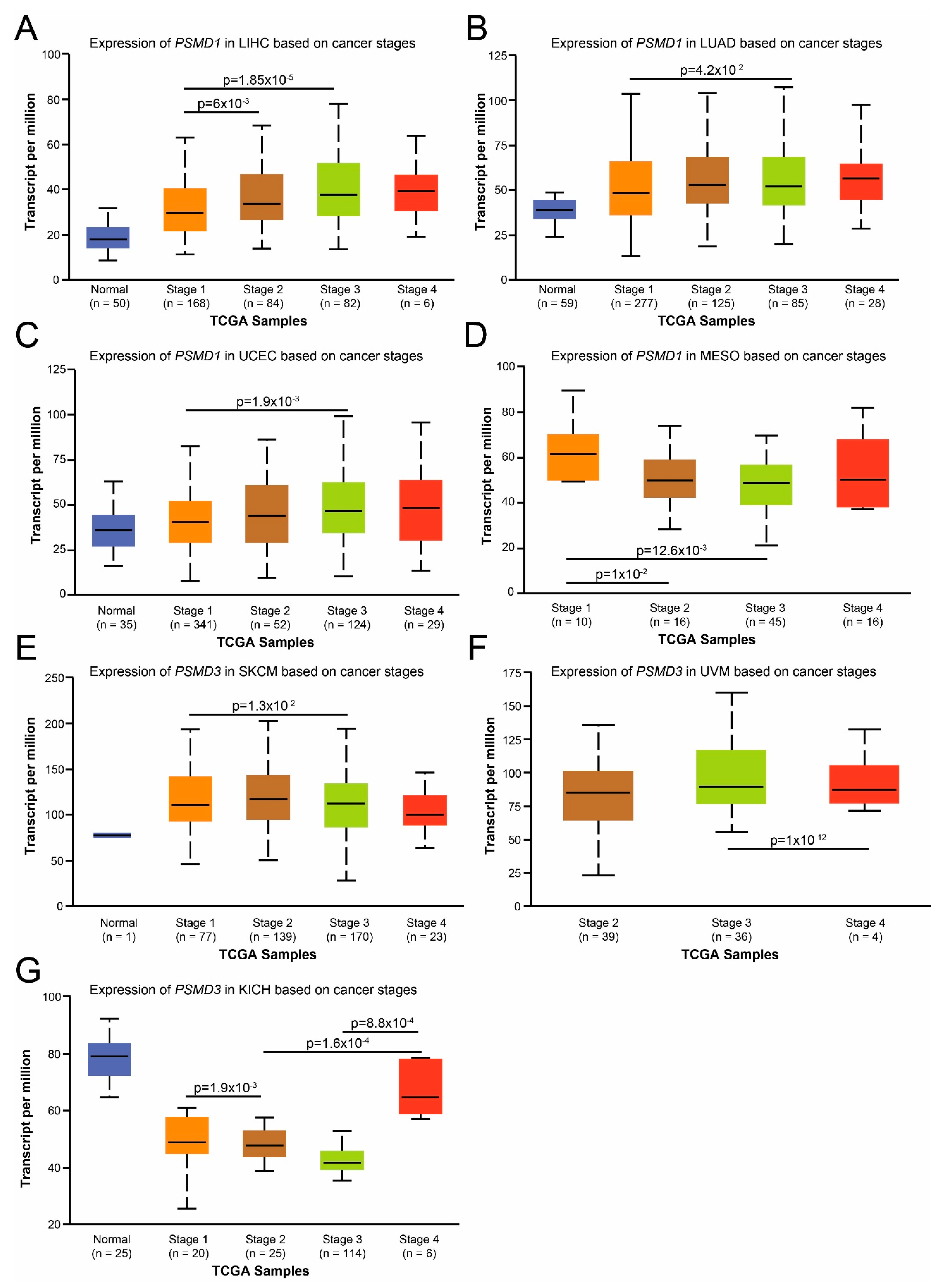 Cells 10 02390 g006 550