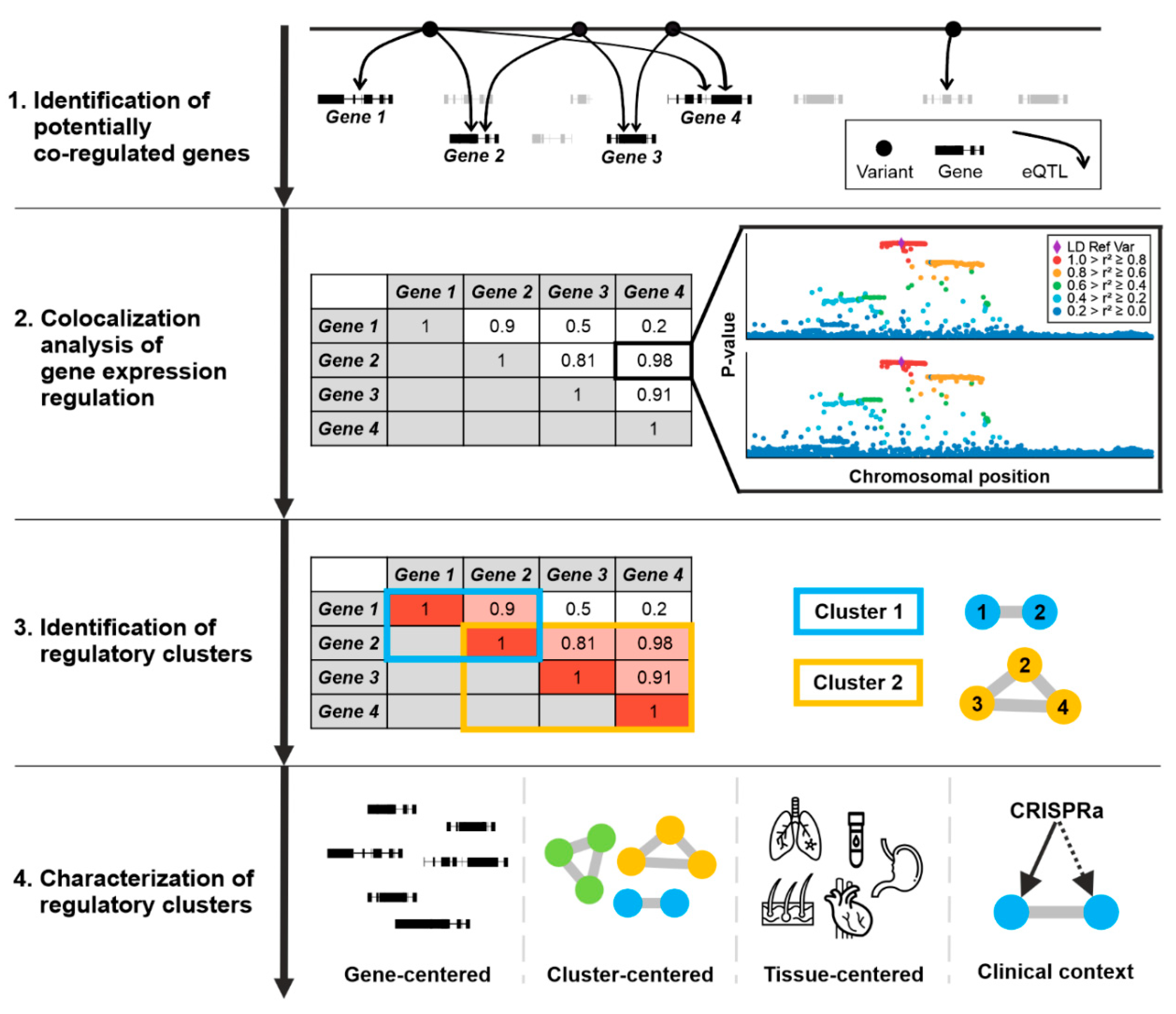 The GTEx Consortium atlas of genetic regulatory effects across