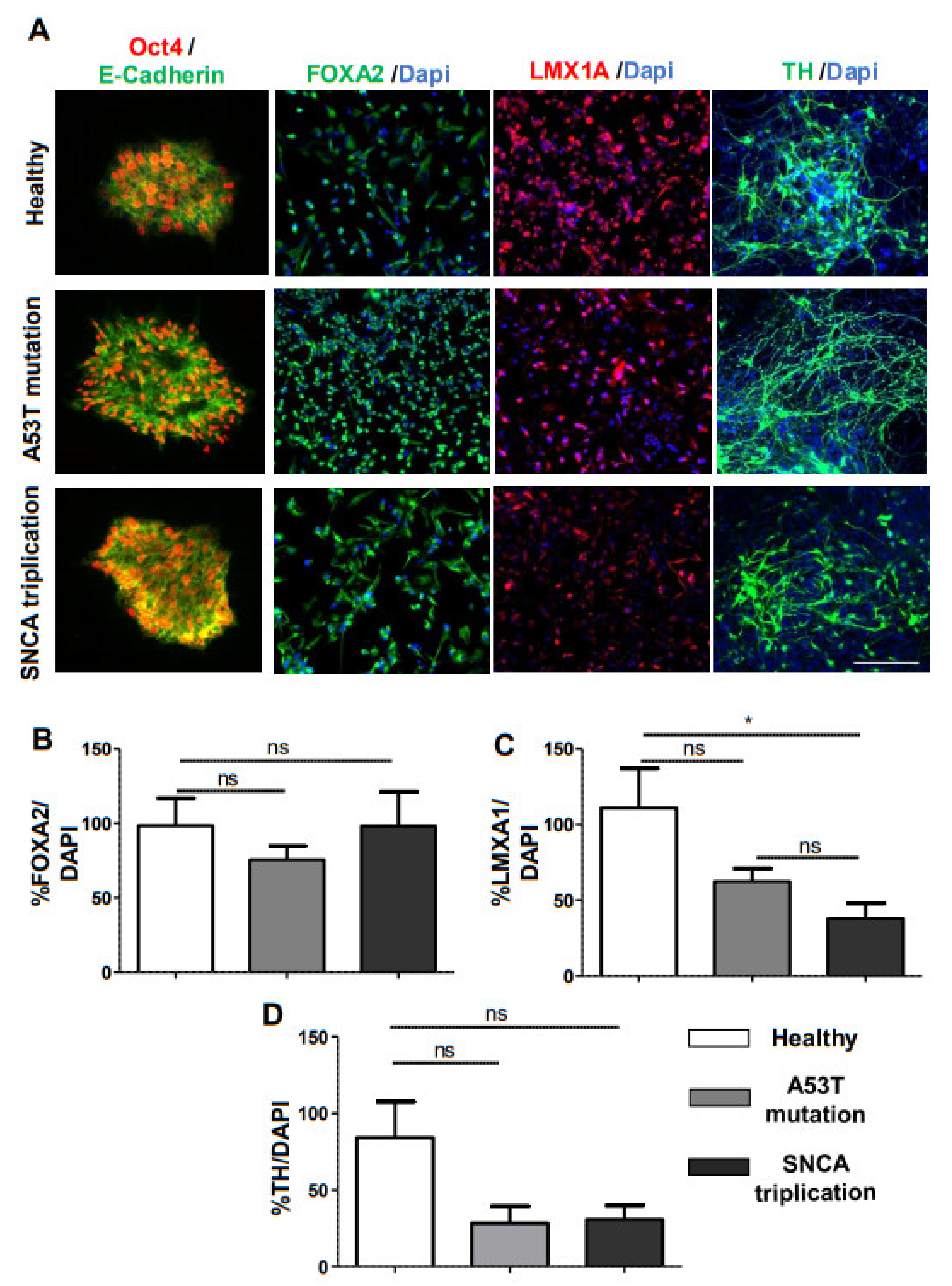 Cells 10 02402 g002 550