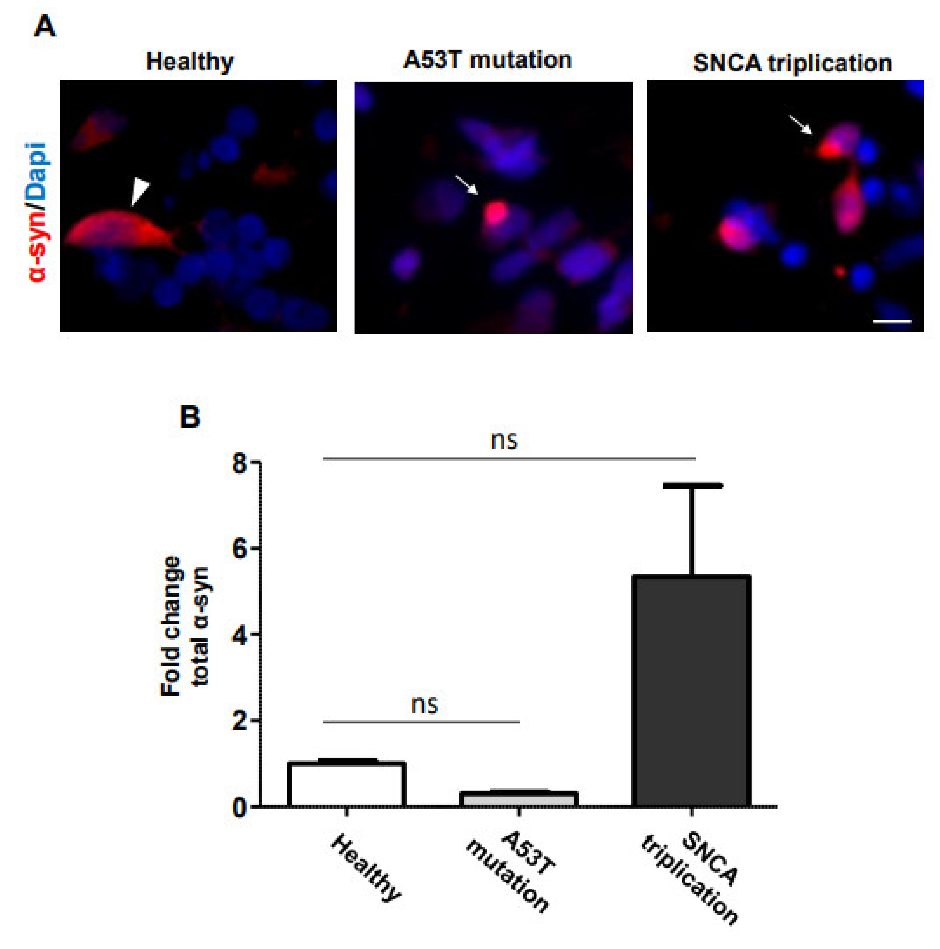 Cells 10 02402 g003 550
