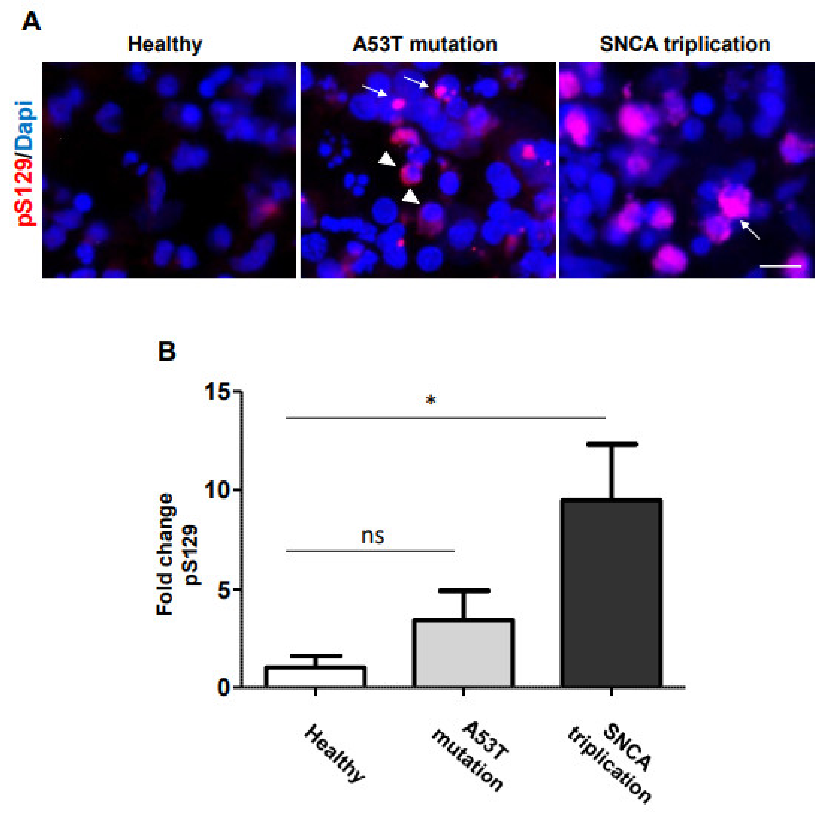 Cells 10 02402 g004 550