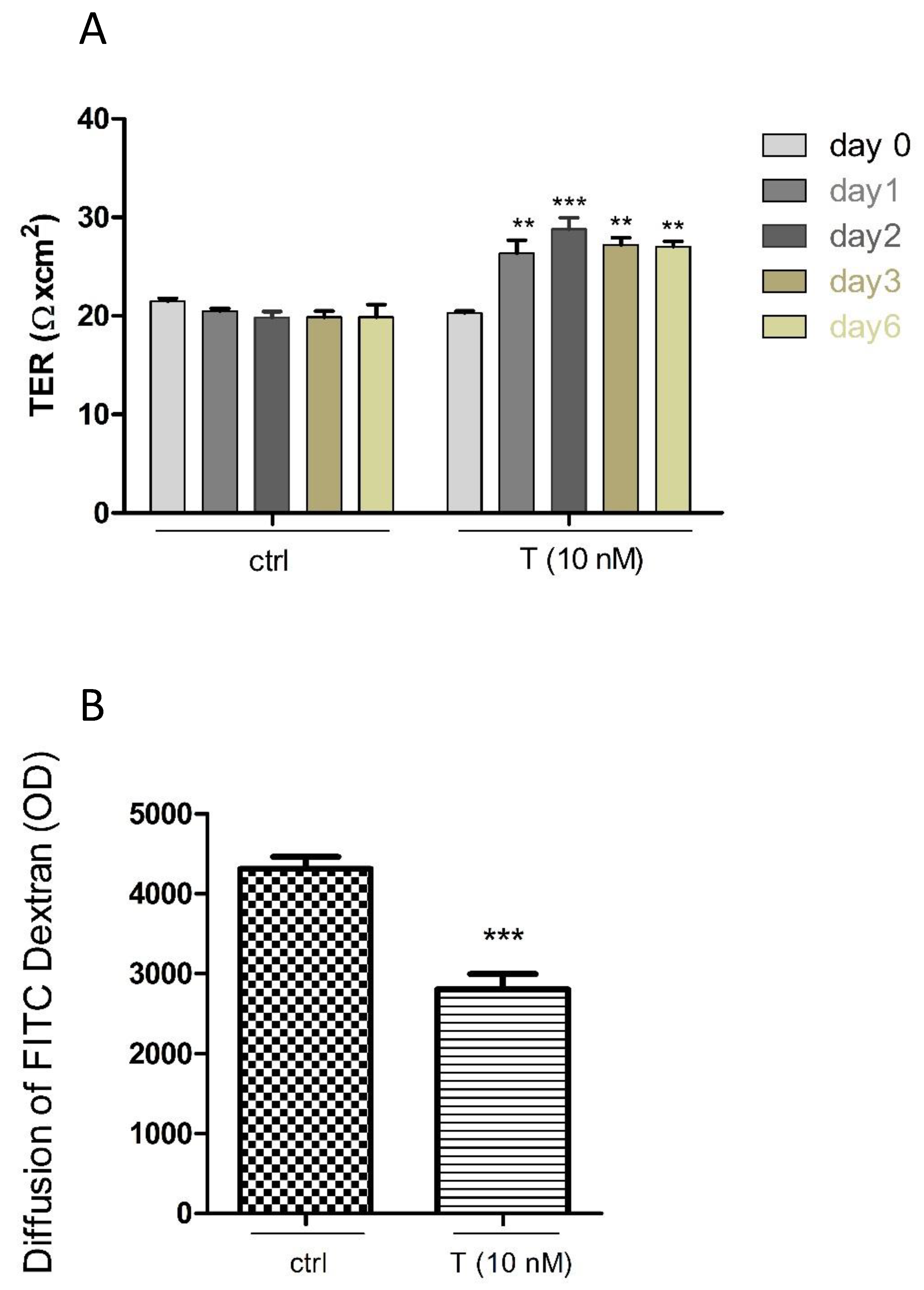 Cells 10 02405 g008 Cells 10 02405 g008