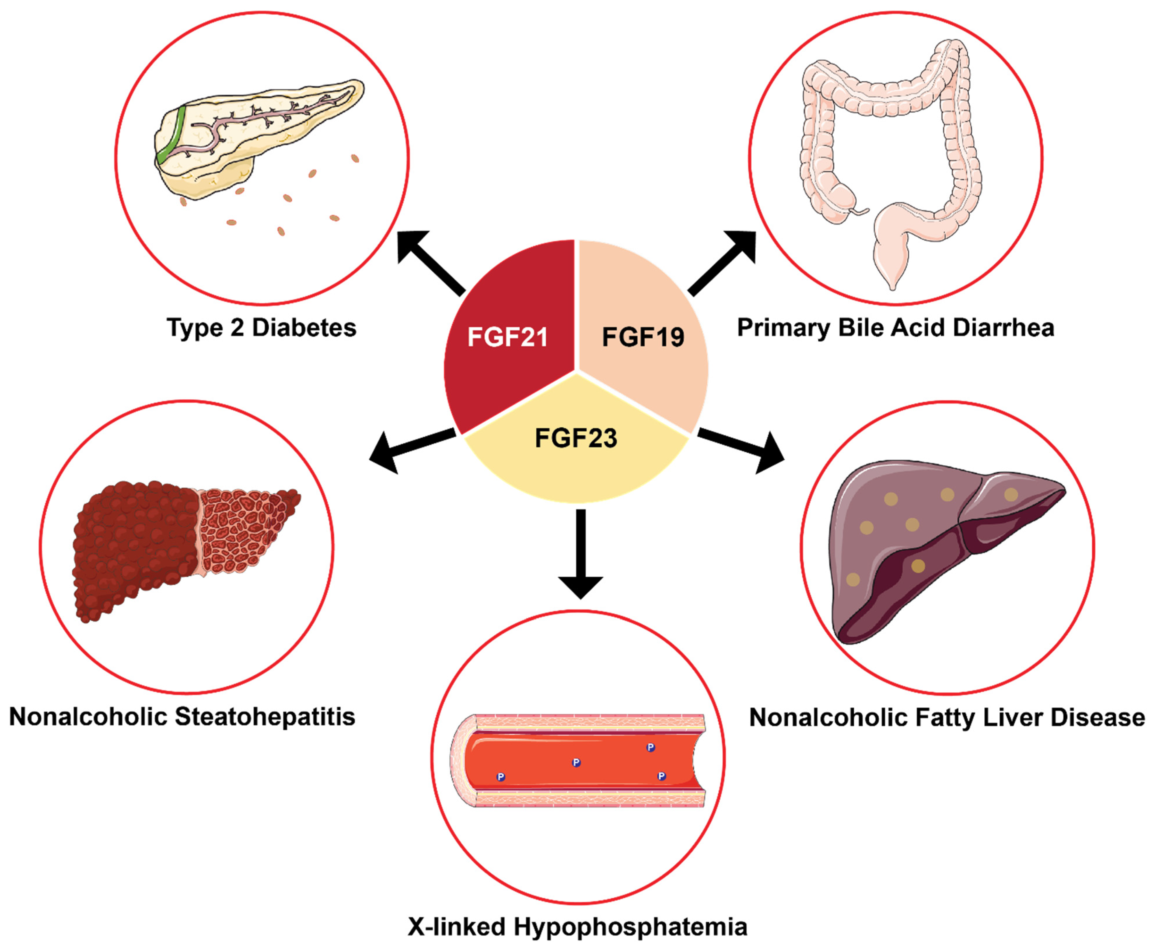 Cells 10 02418 g008 550