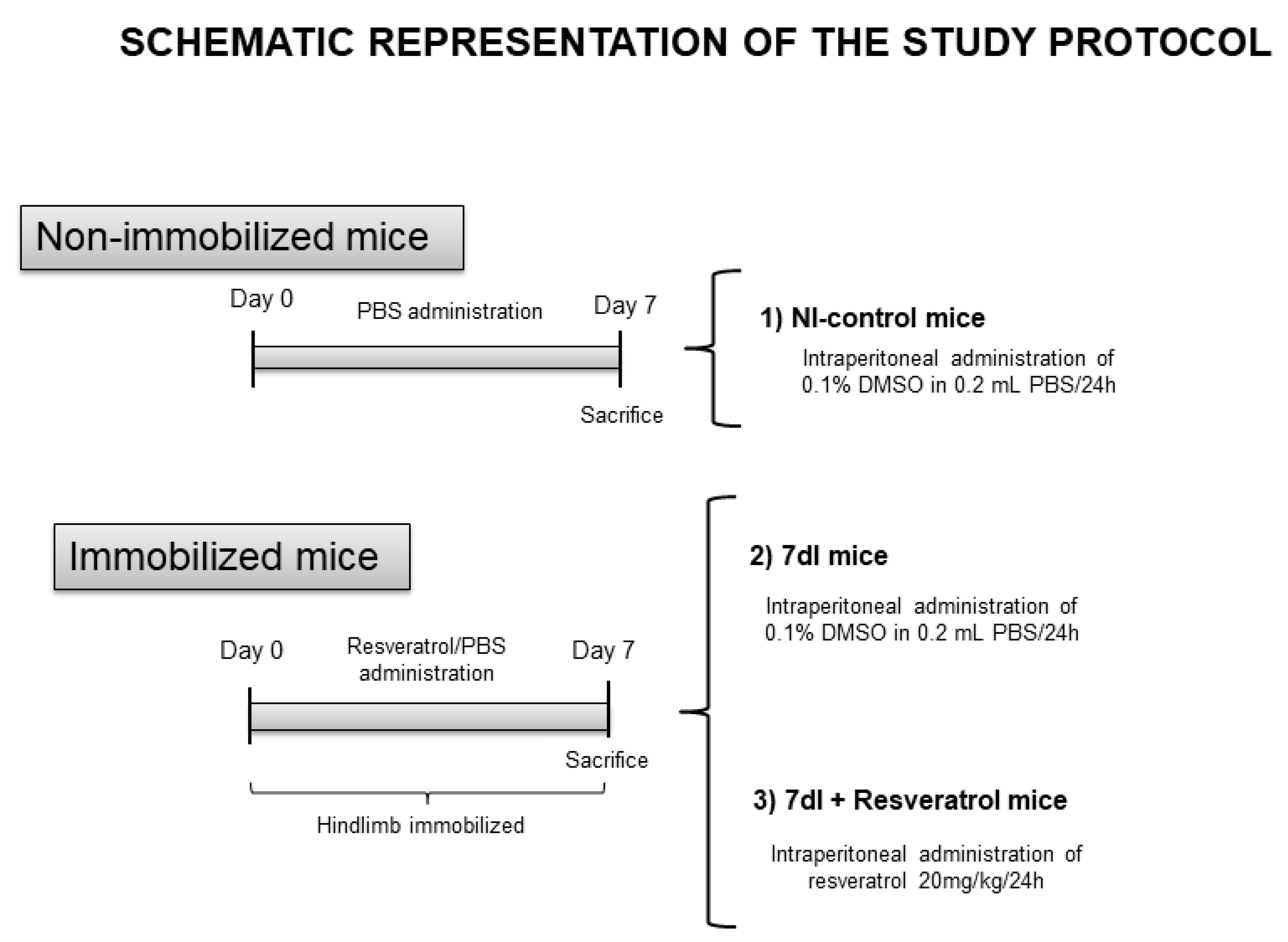 Cells 10 02436 g001 Cells 10 02436 g001