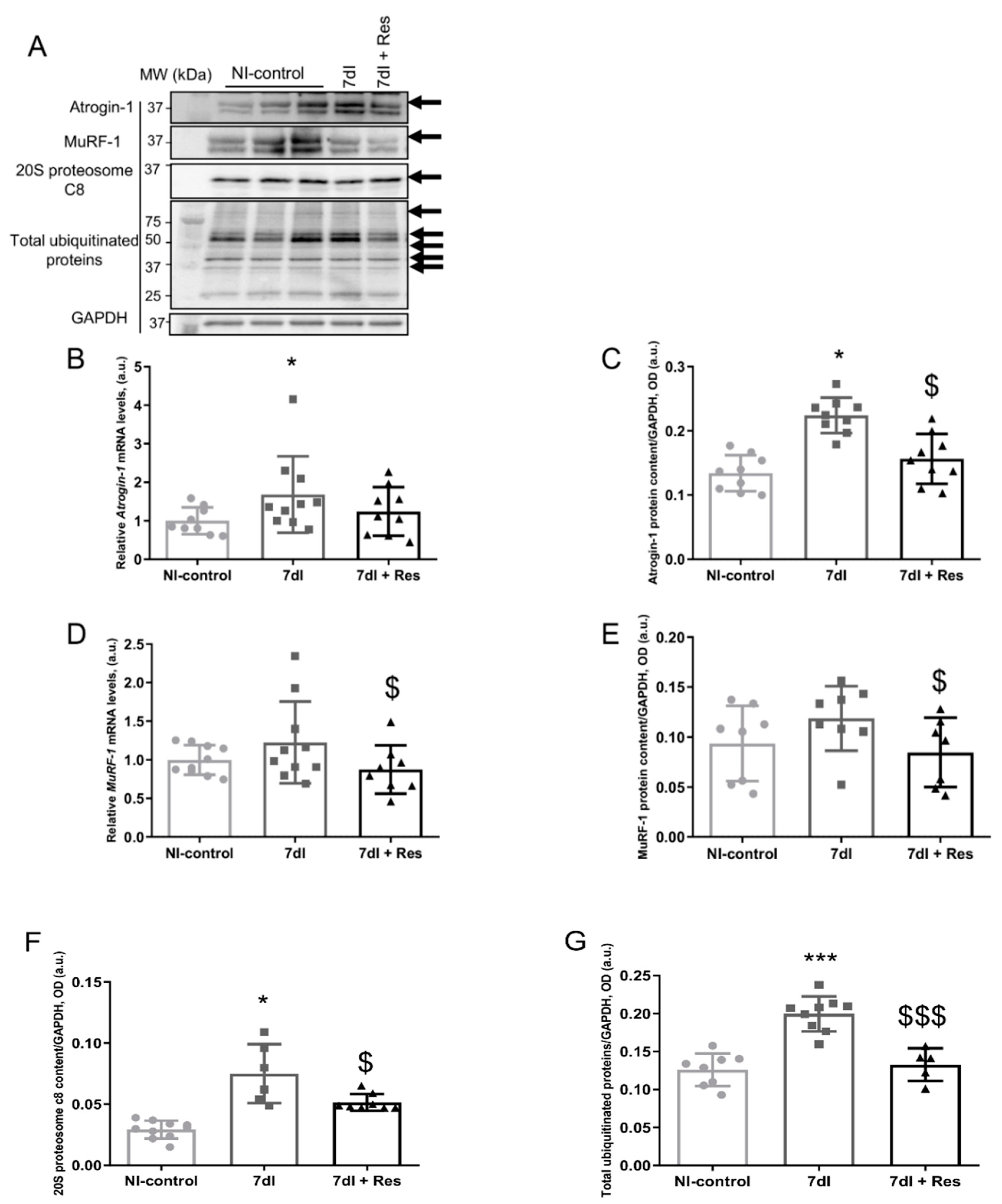 Cells 10 02436 g004 Cells 10 02436 g004