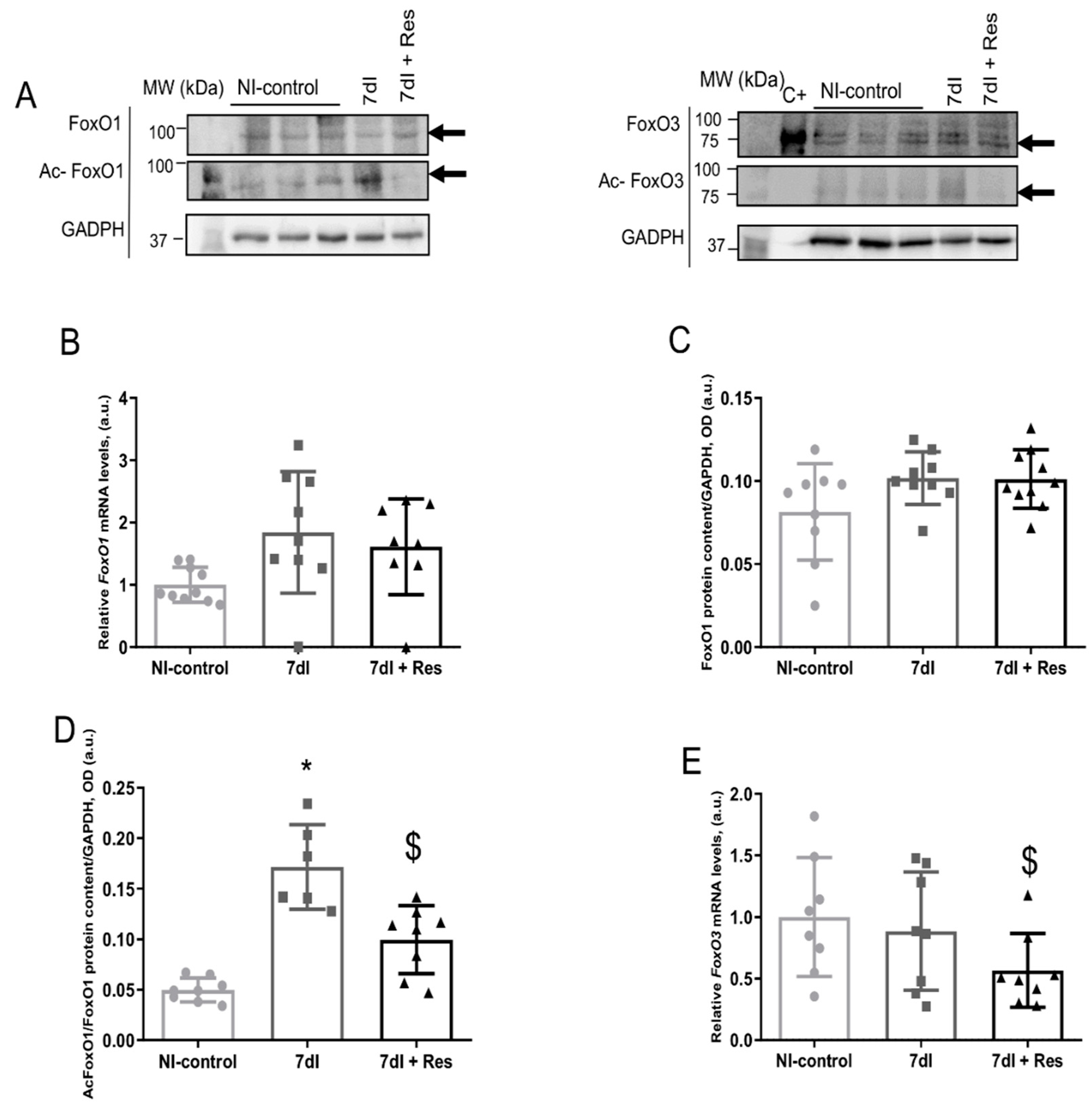 Cells 10 02436 g005a Cells 10 02436 g005a