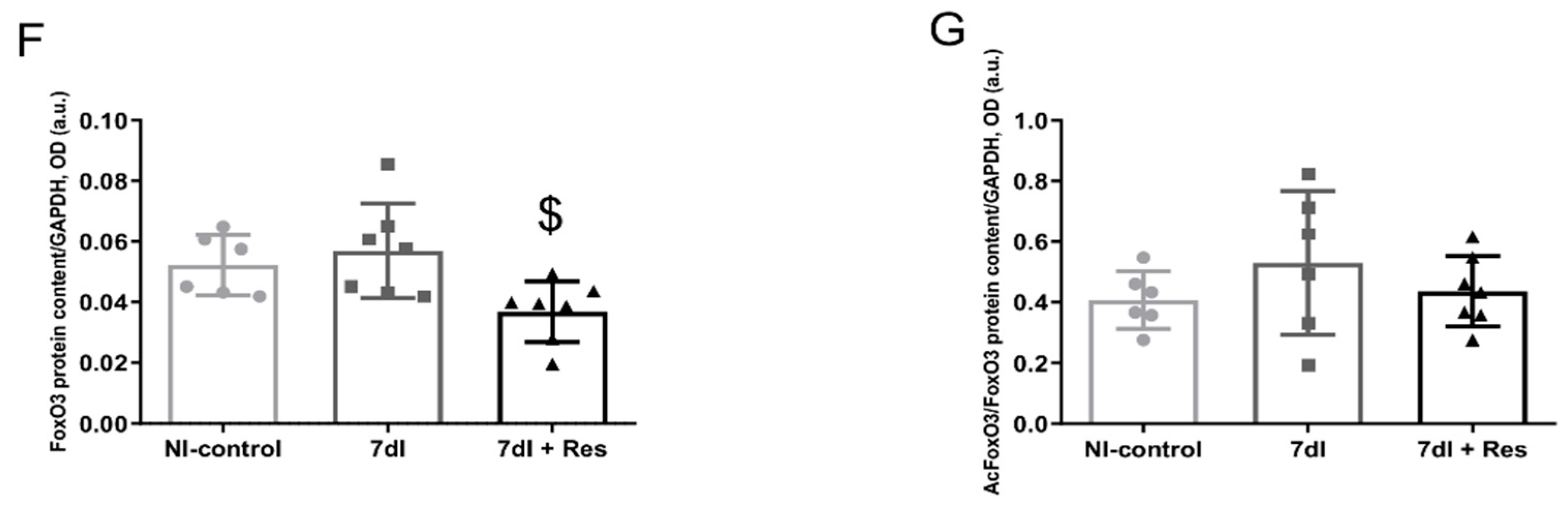Cells 10 02436 g005b Cells 10 02436 g005b