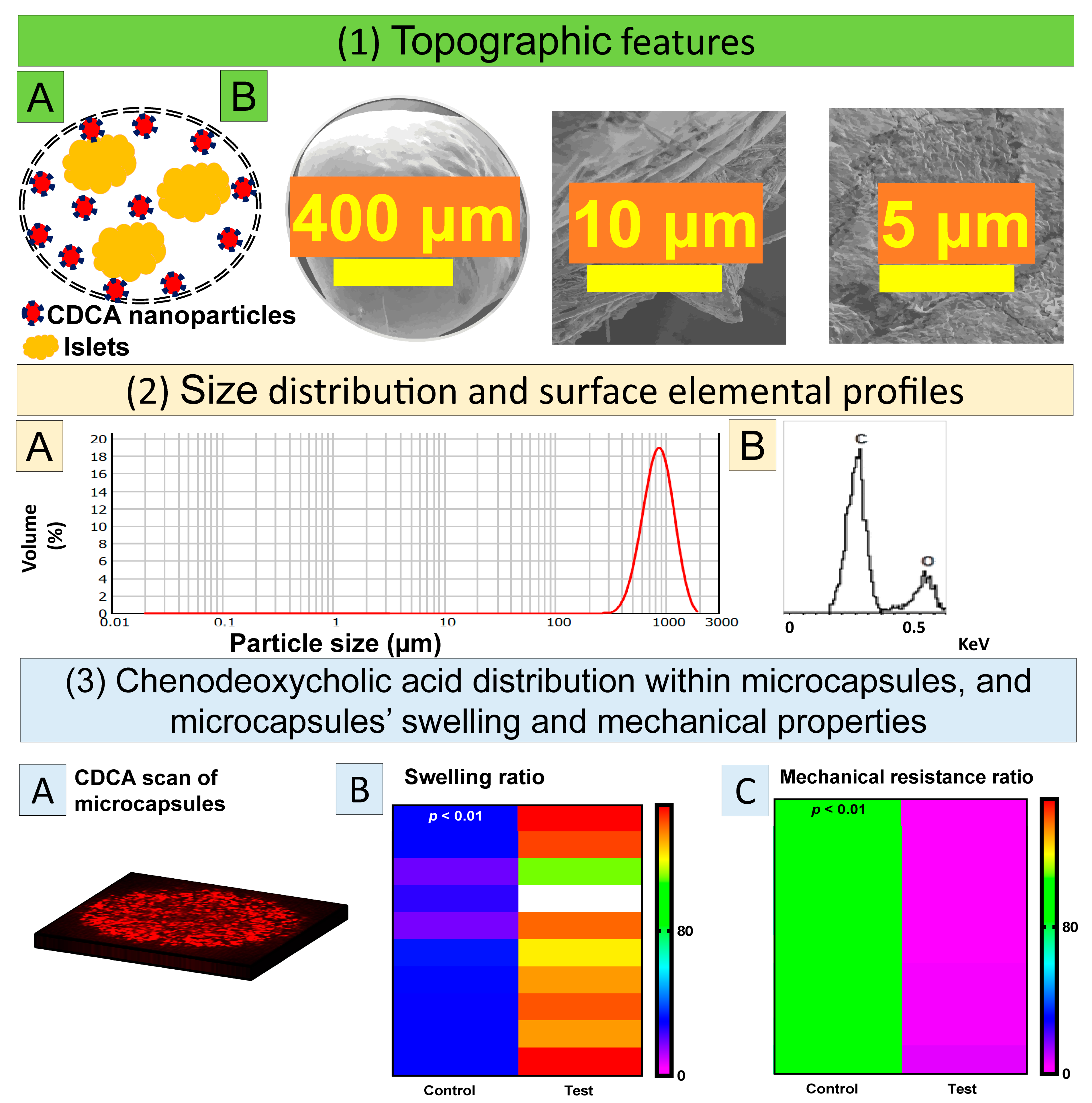 Cells 10 02437 g003 Cells 10 02437 g003