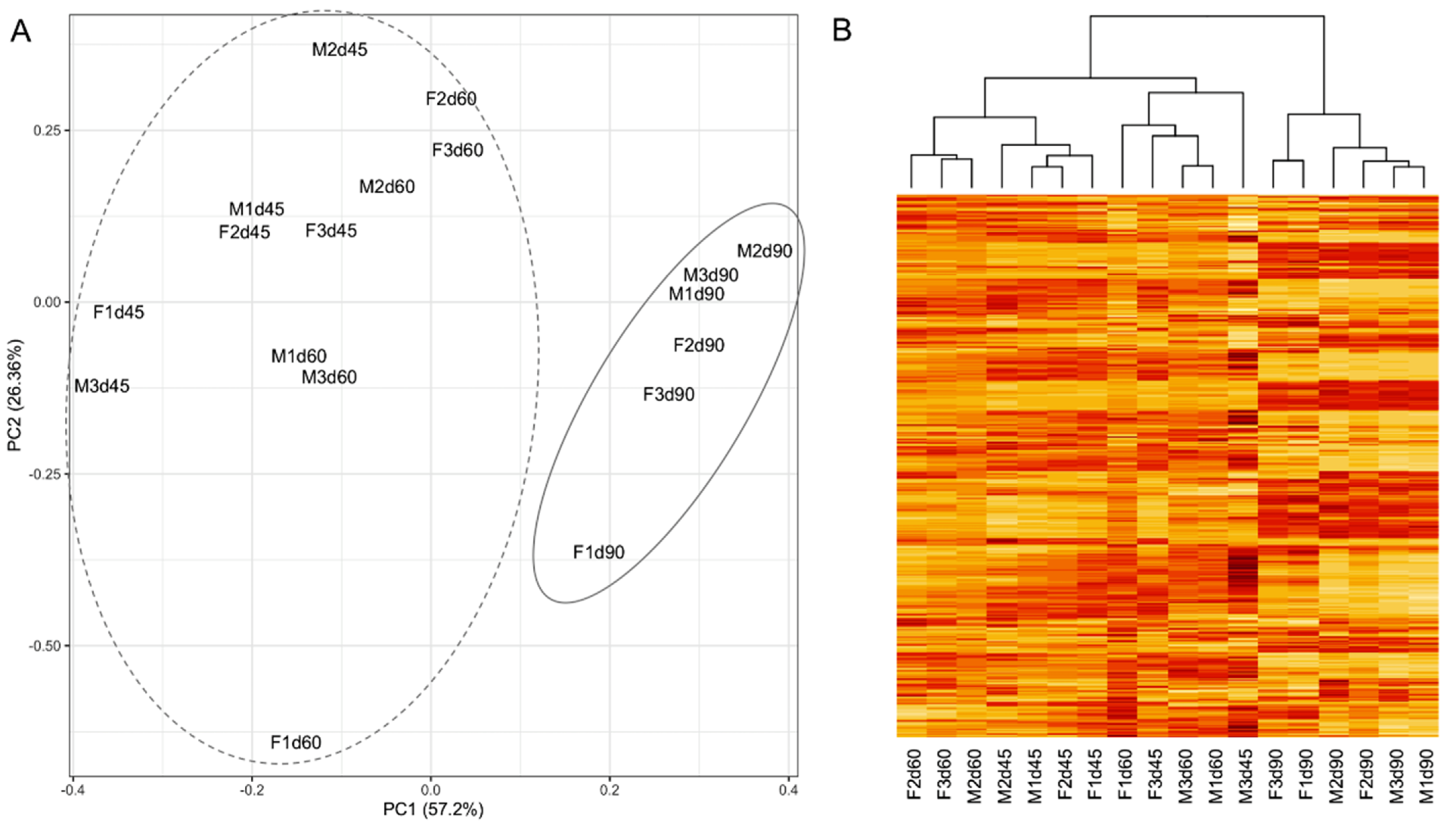 Cells 10 02439 g001 550