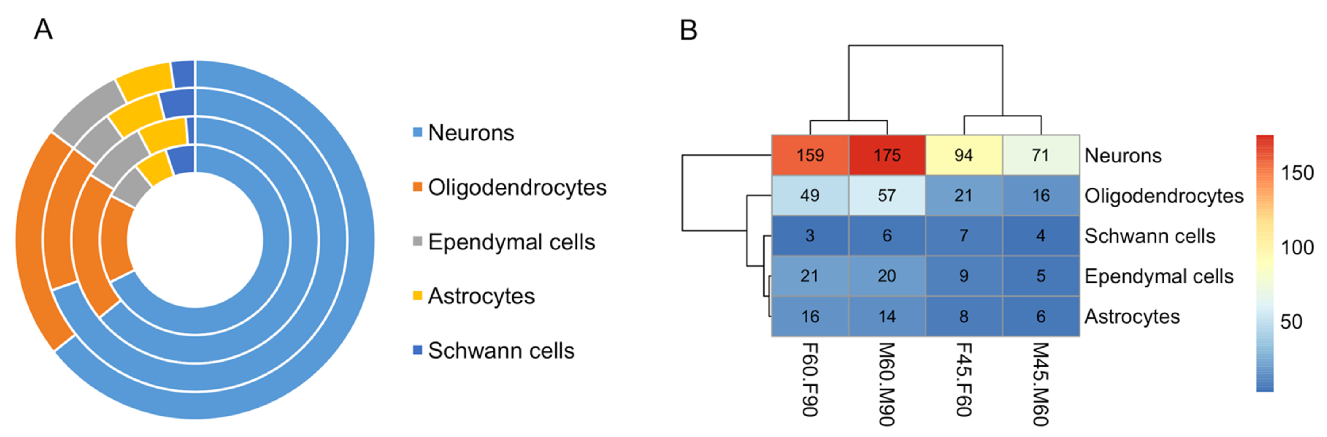 Cells 10 02439 g004 550