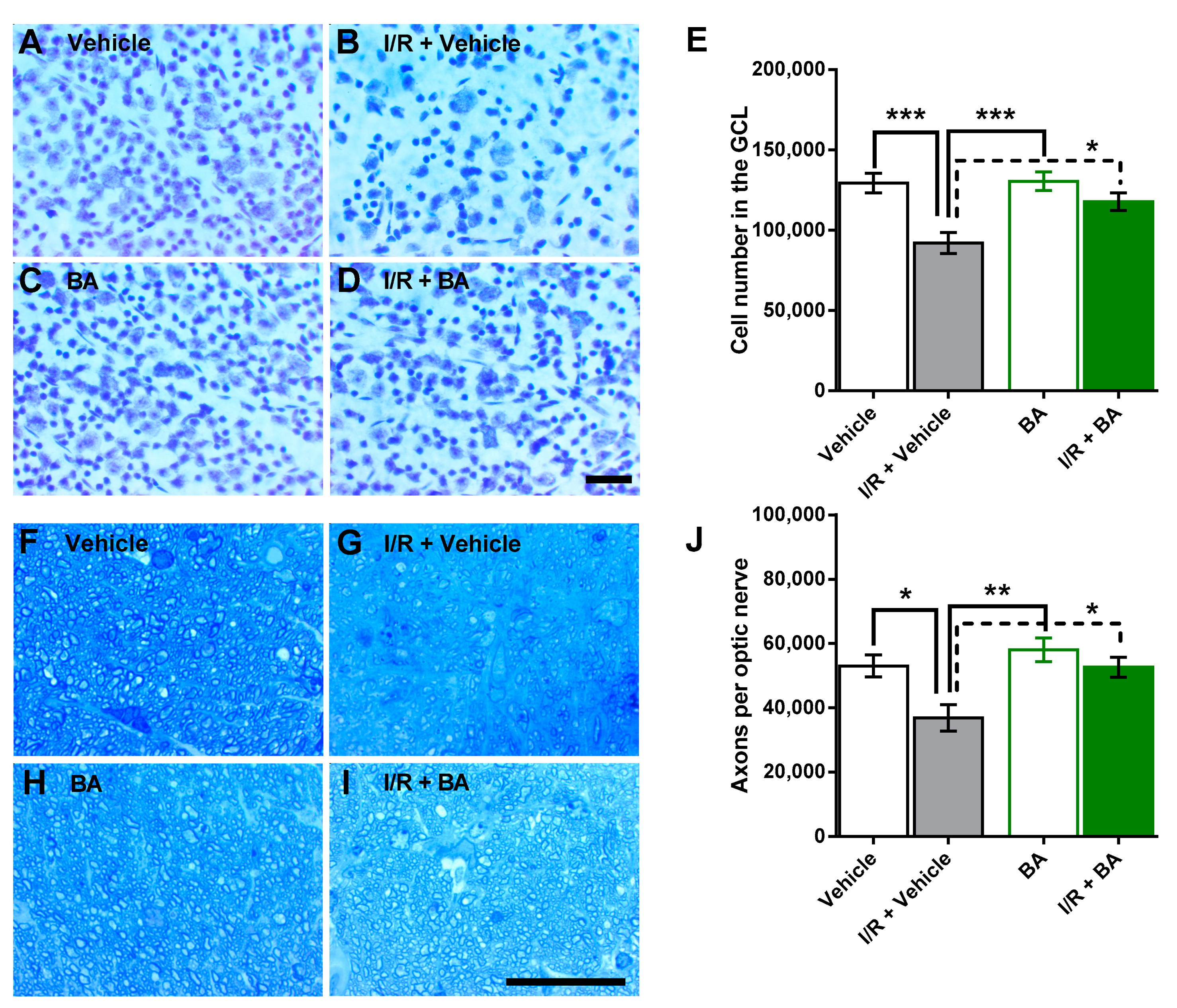 Cells 10 02440 g001 550