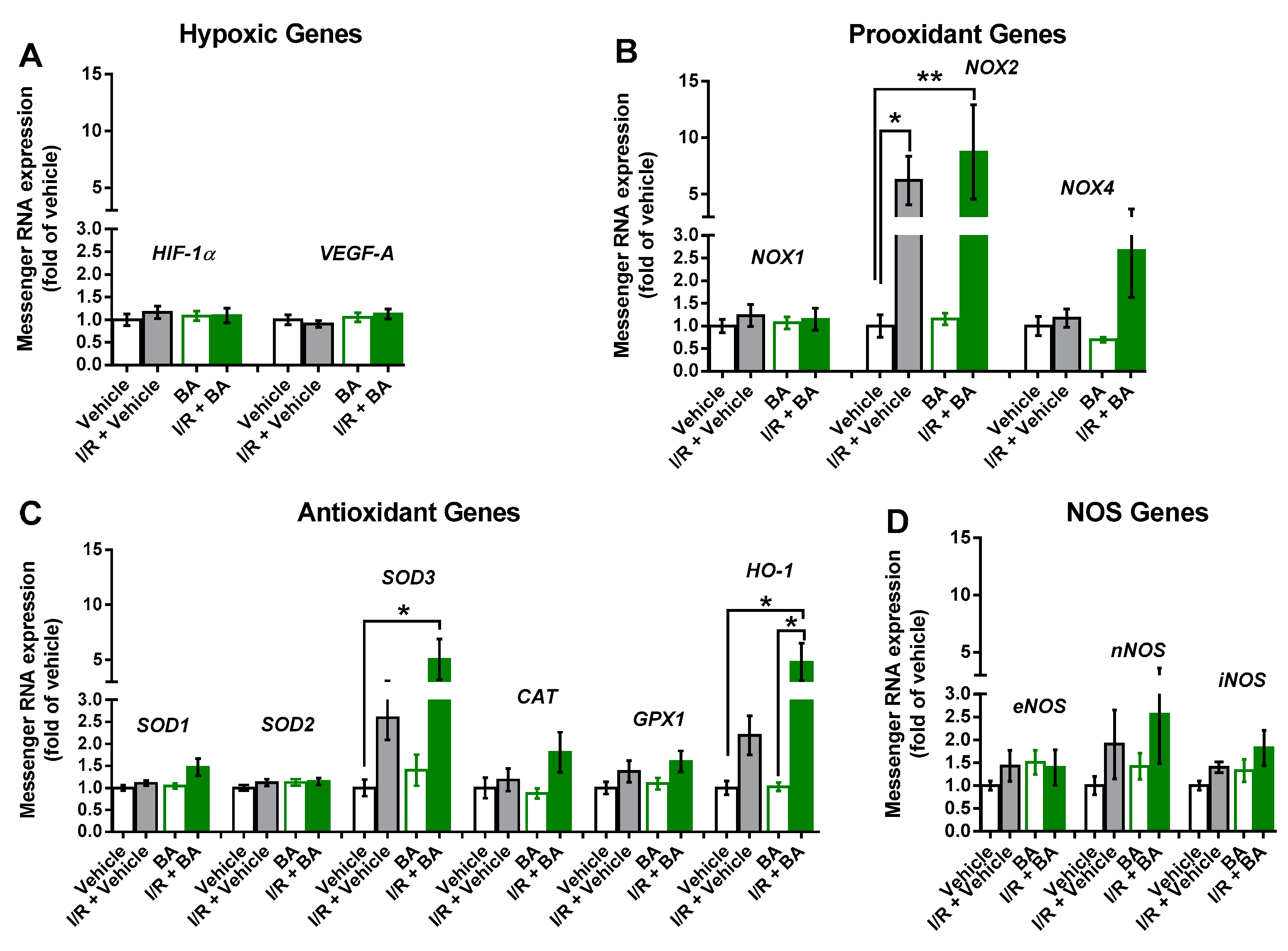 Cells 10 02440 g004 550