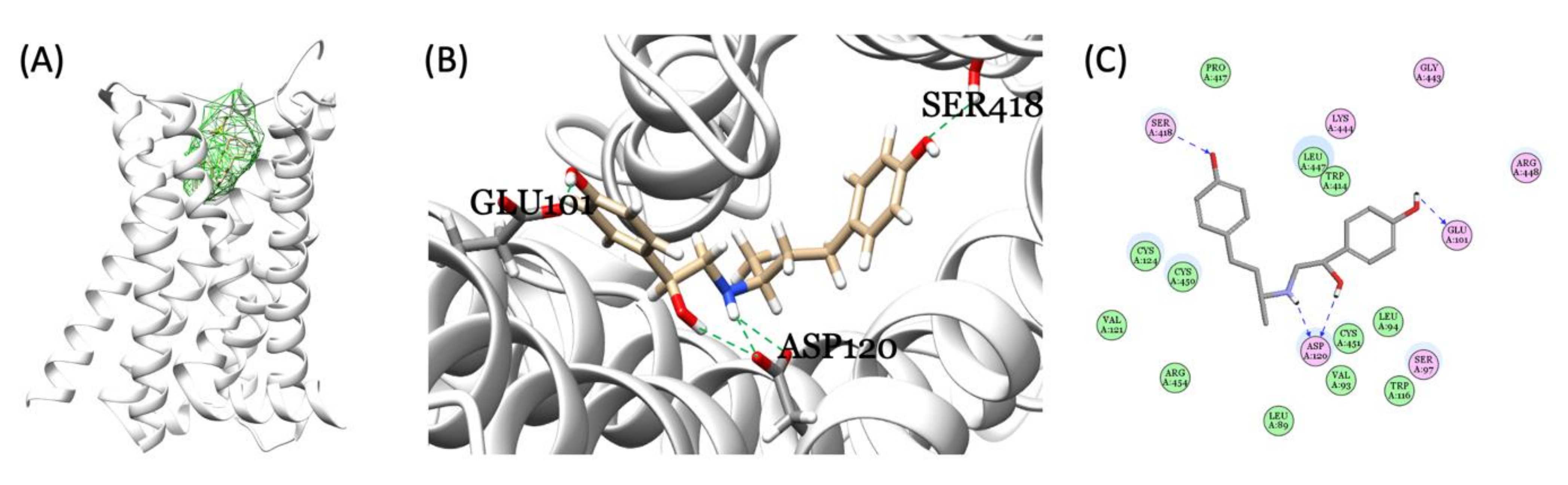 Cells 10 02449 g006 Cells 10 02449 g006