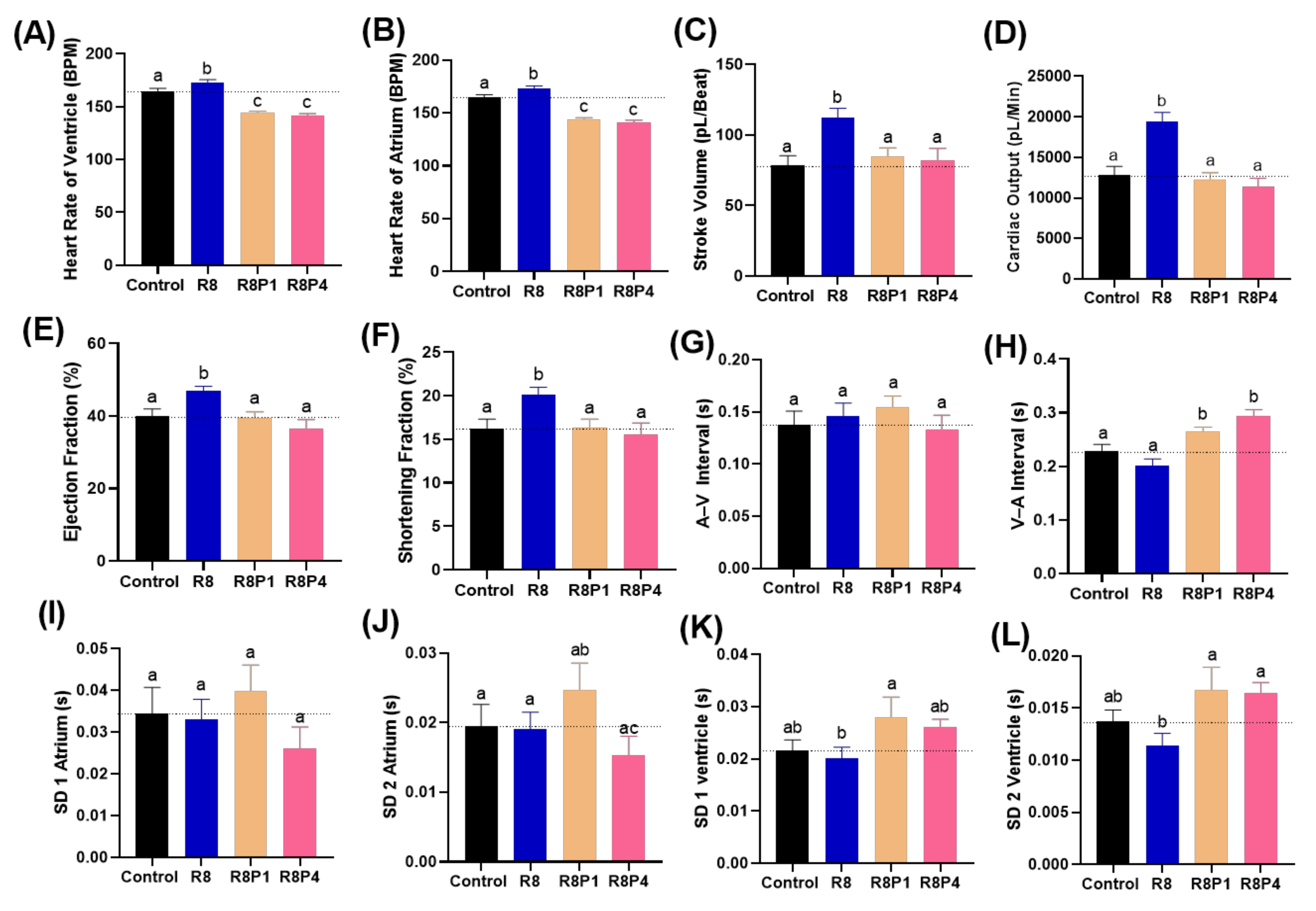 Cells 10 02449 g008 Cells 10 02449 g008