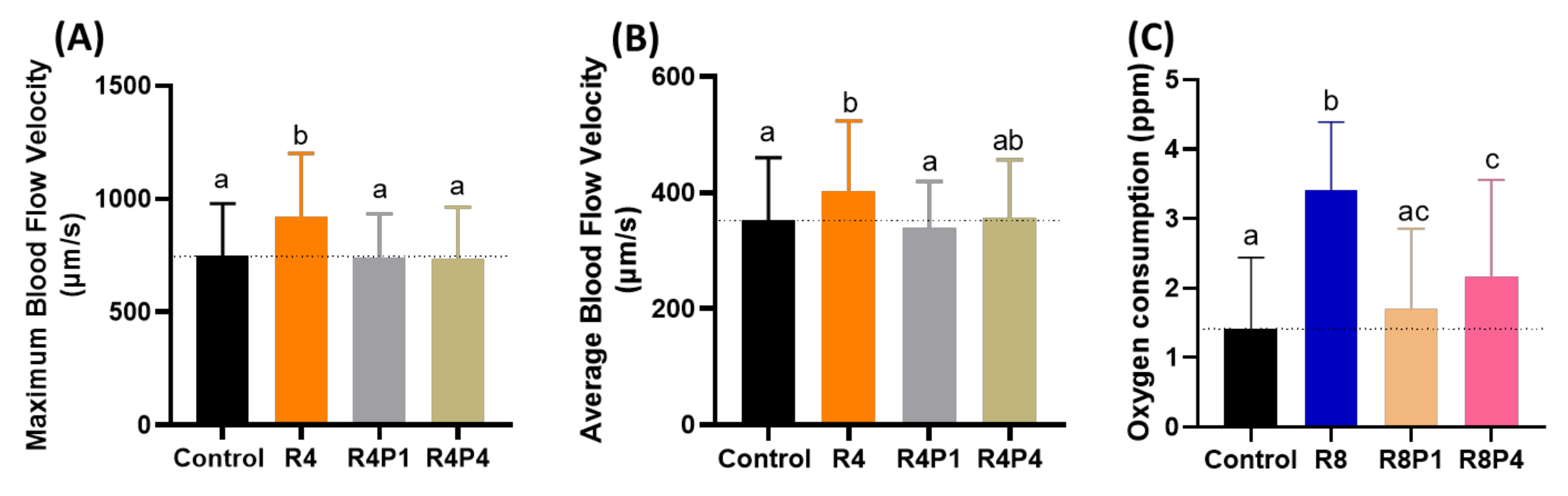 Cells 10 02449 g009 Cells 10 02449 g009