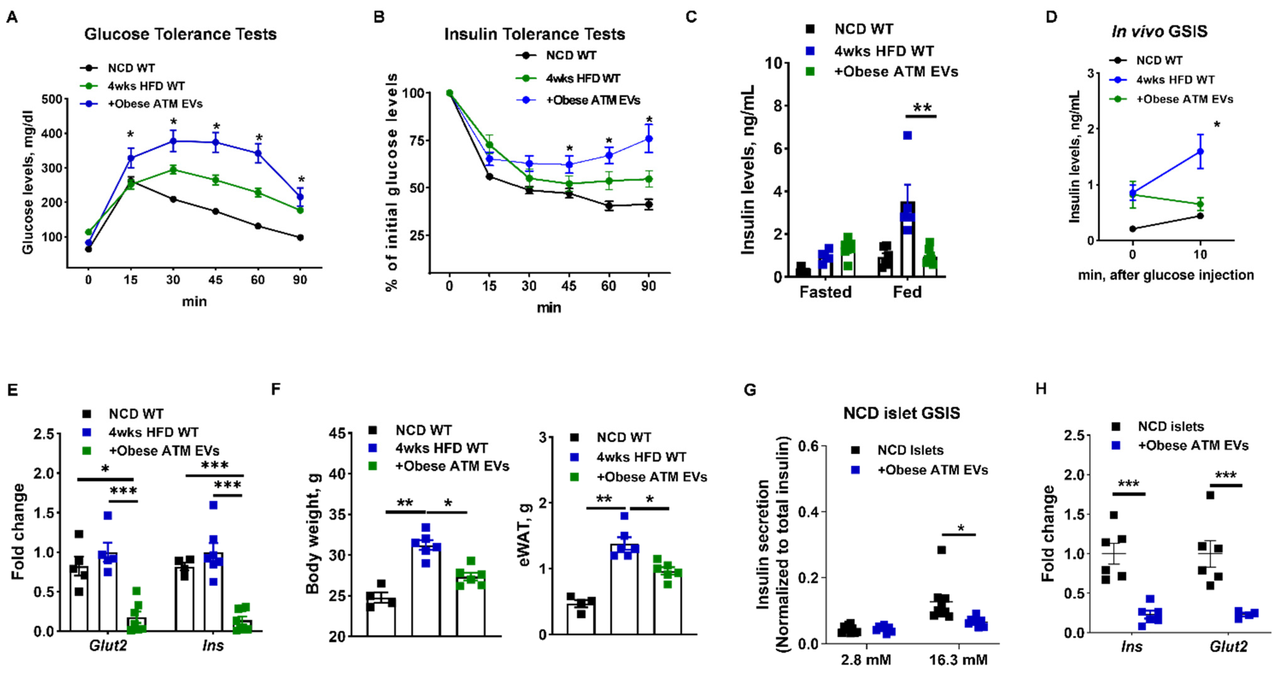 Cells 10 02451 g002 550
