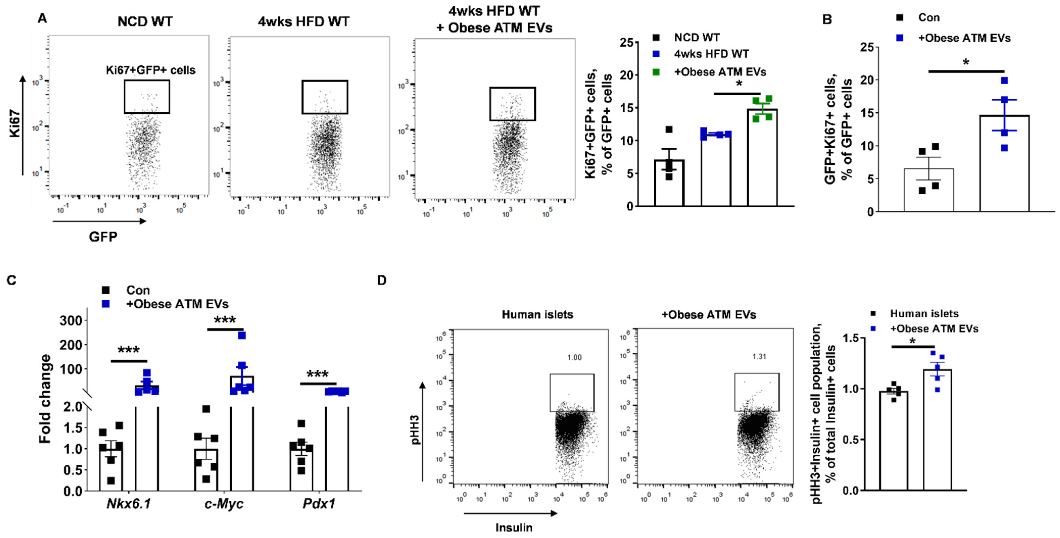 Cells 10 02451 g003 550