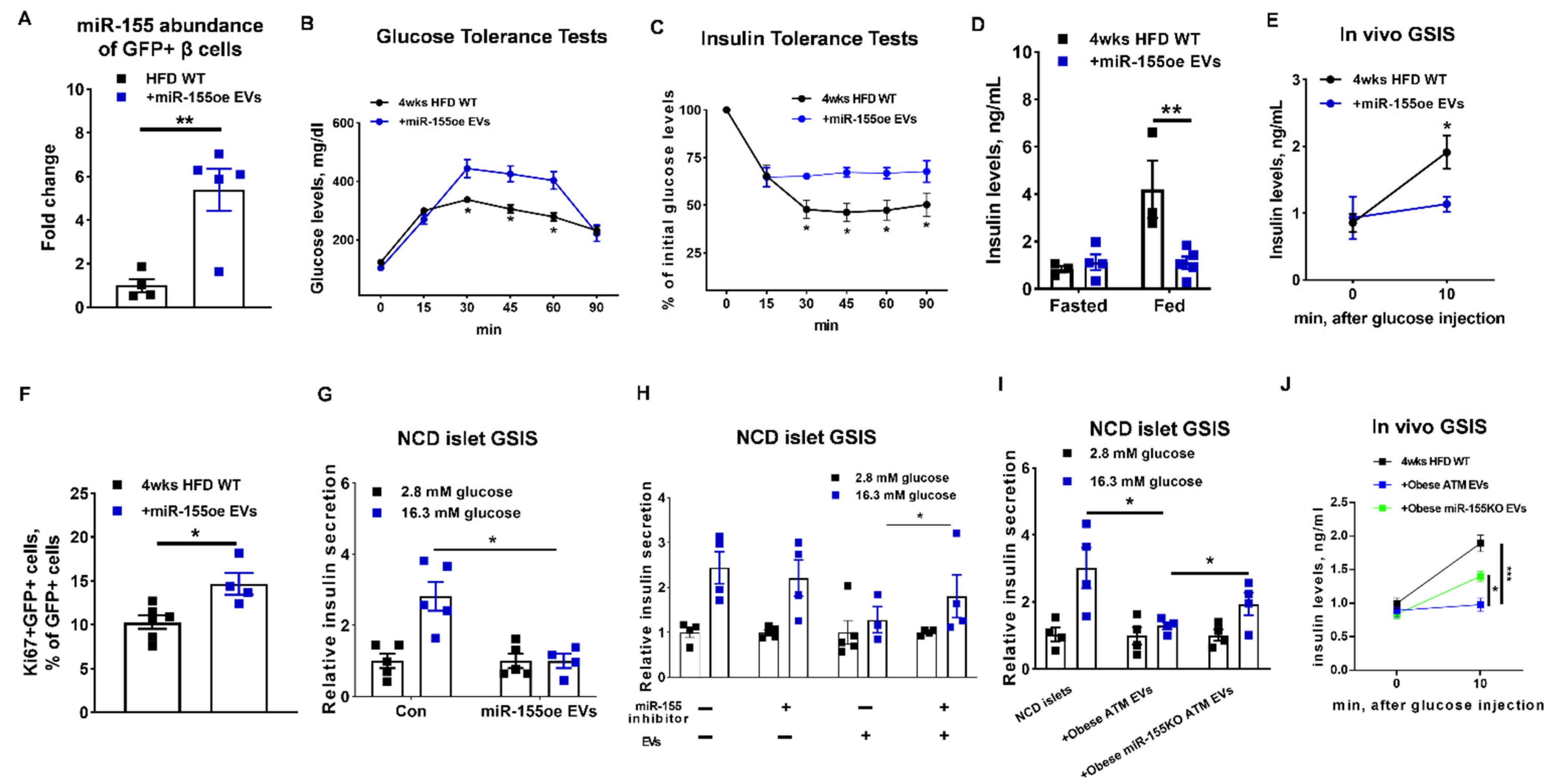 Cells 10 02451 g006 550