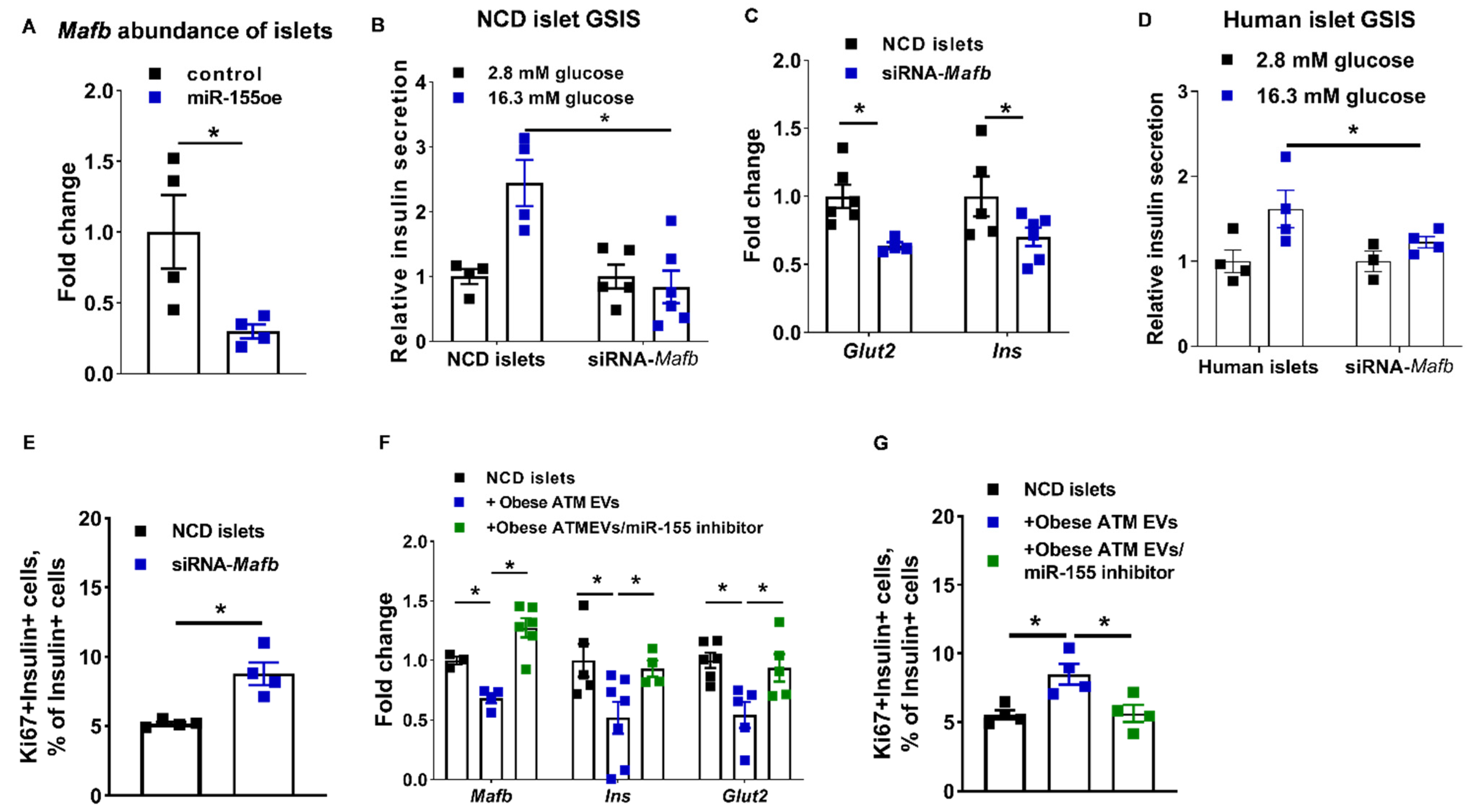 Cells 10 02451 g007 550
