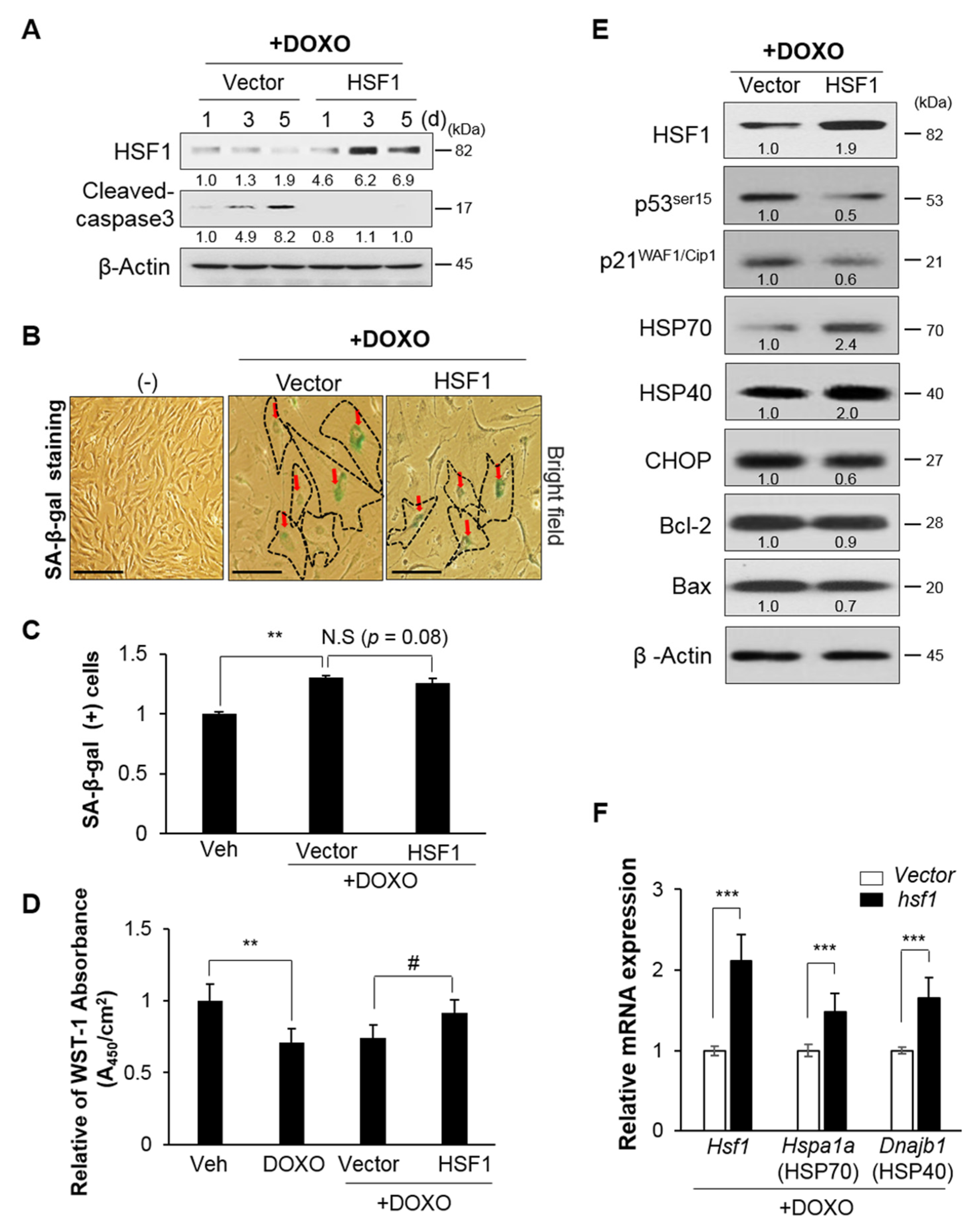 Cells 10 02454 g003 Cells 10 02454 g003
