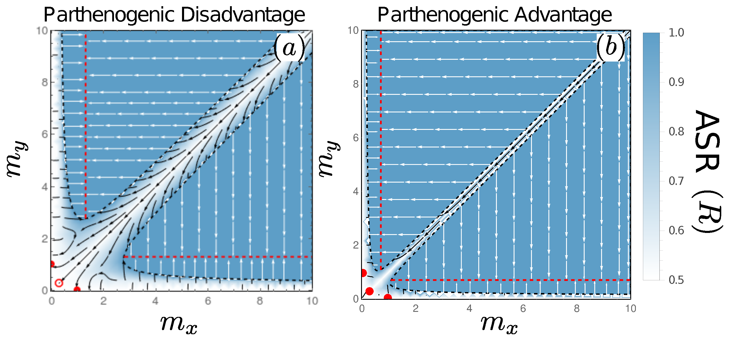 Parthenogenesis Diagram