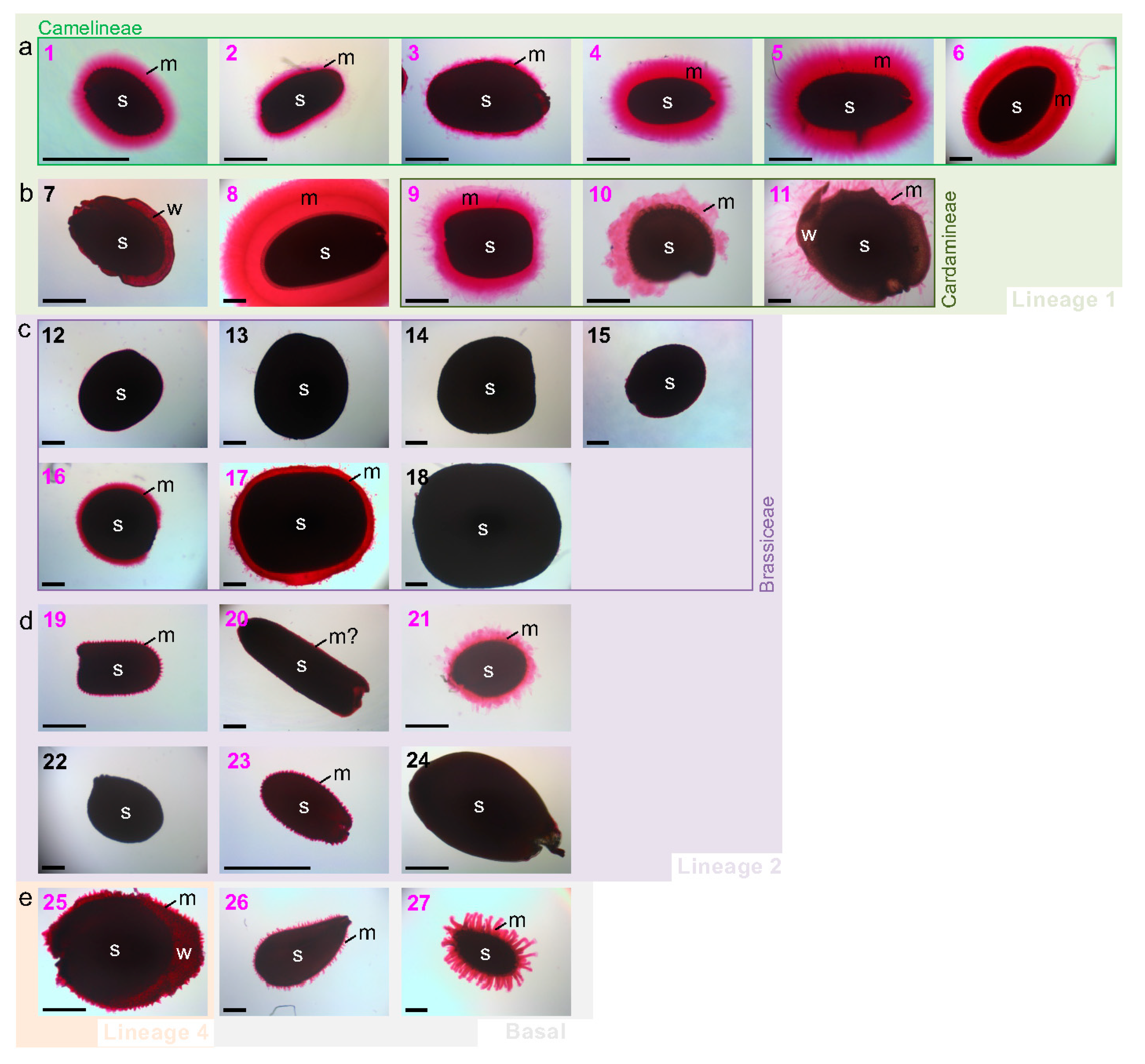 Cells 10 02470 g002 550