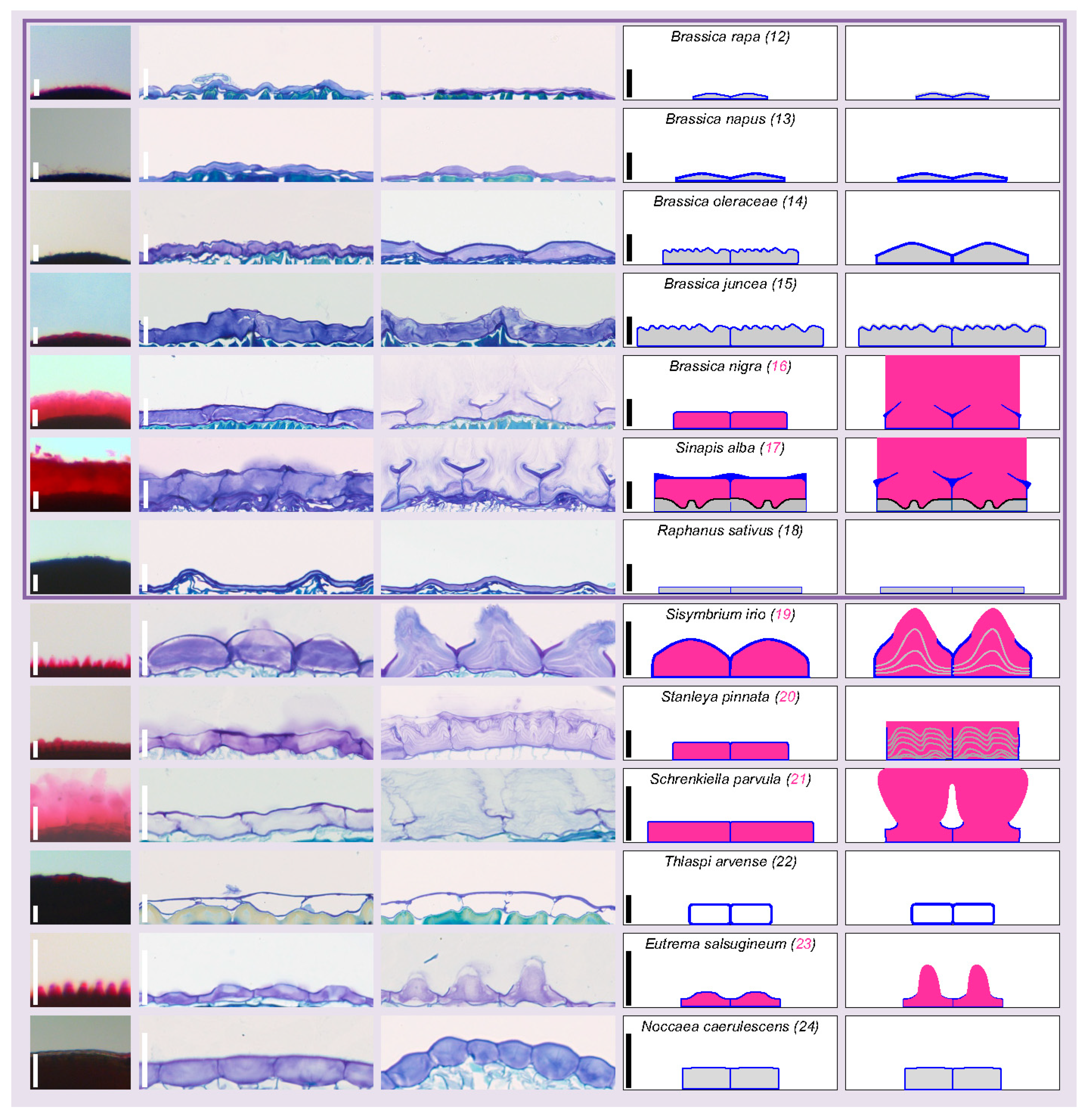 Cells 10 02470 g004 550