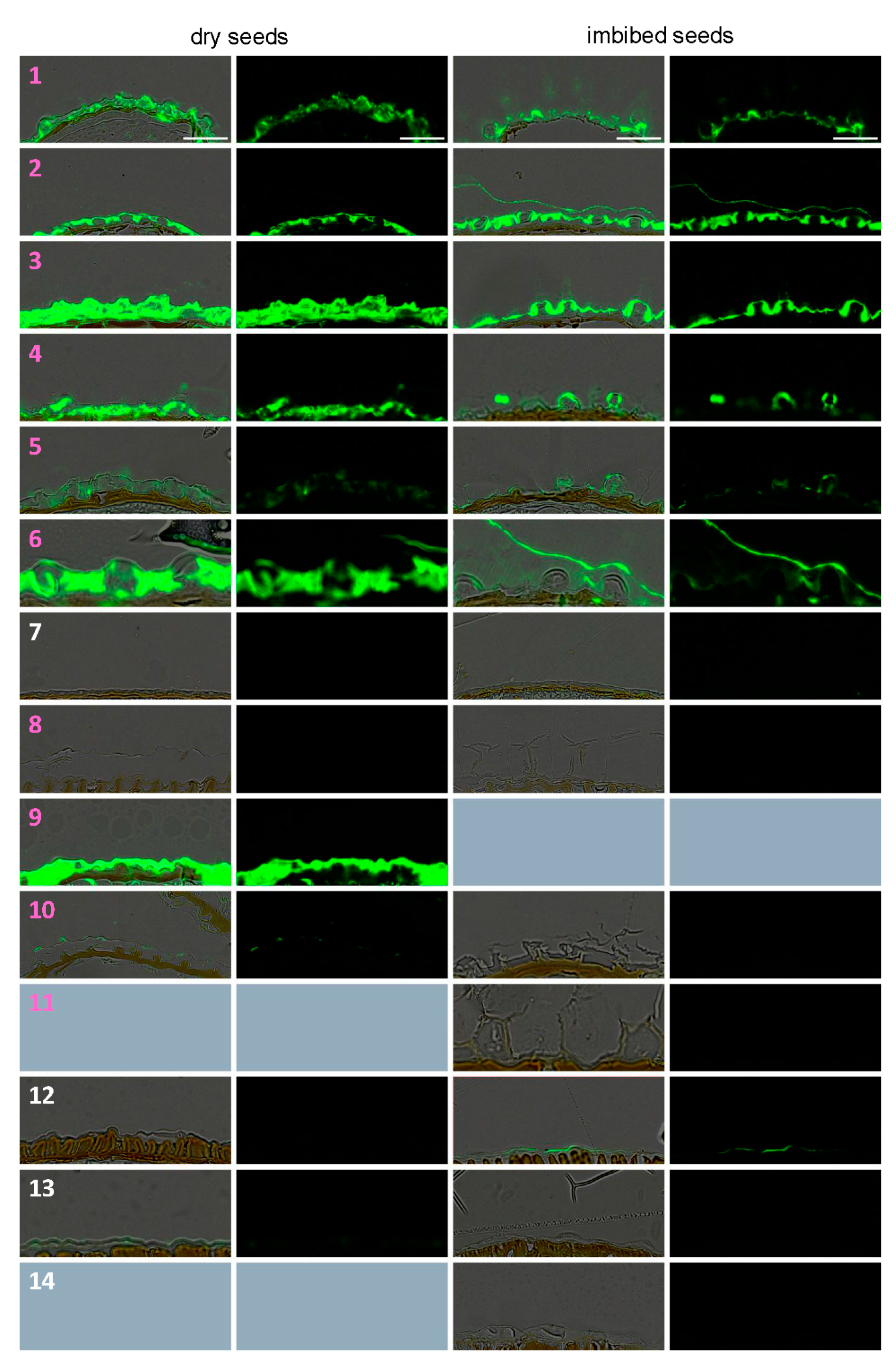 Cells 10 02470 g006a 550