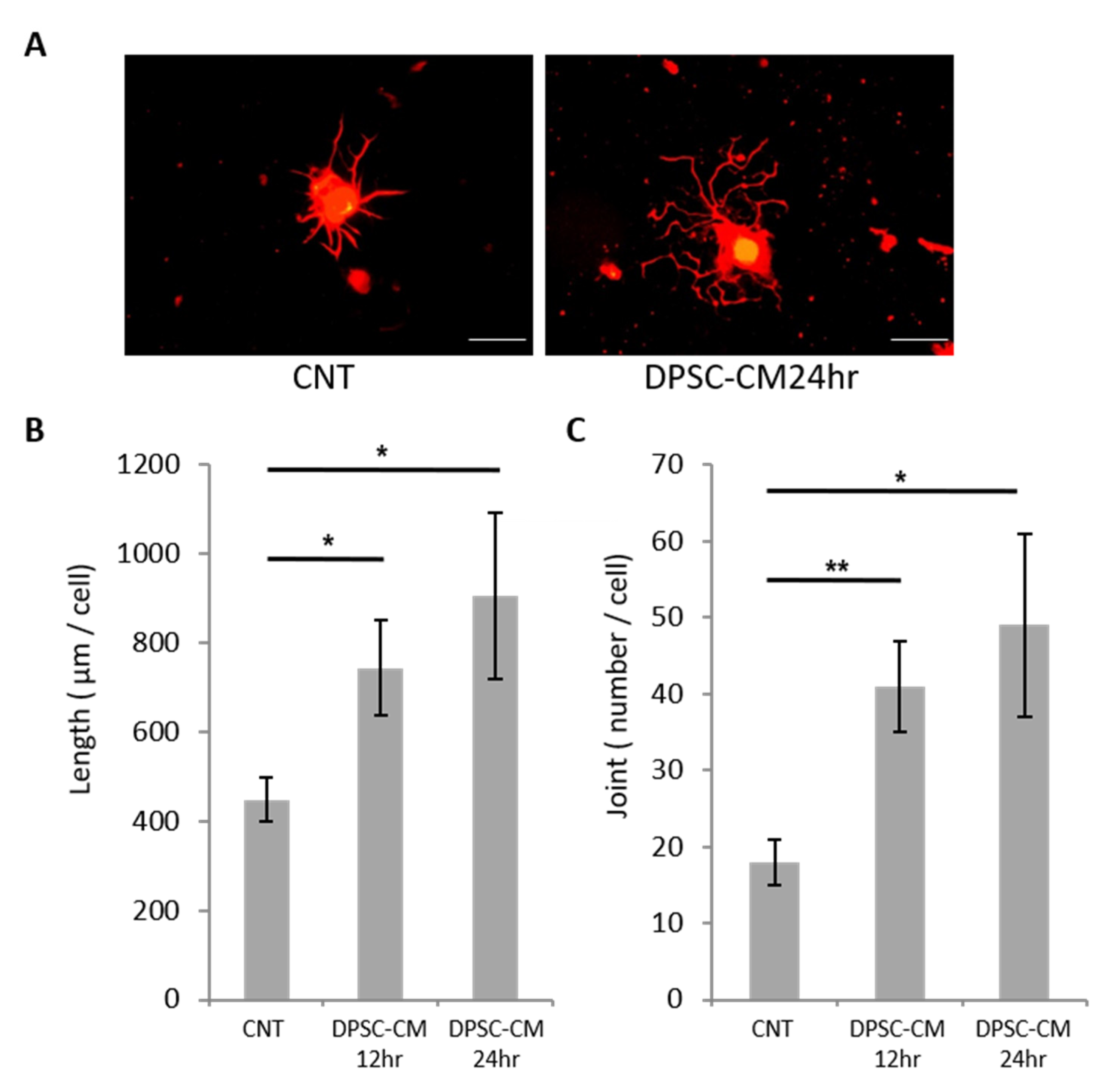 Cells 10 02473 g002 550