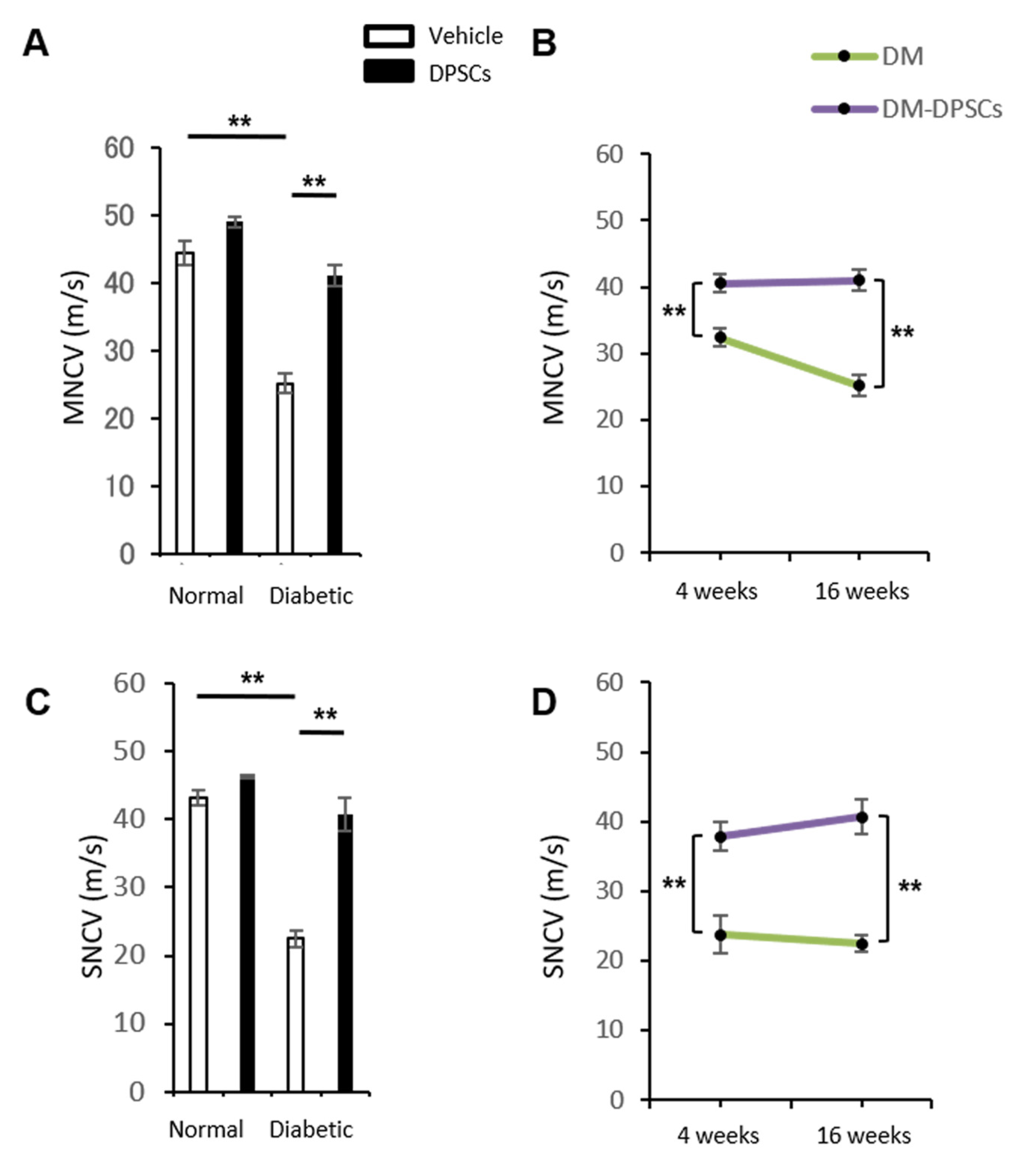 Cells 10 02473 g004 550