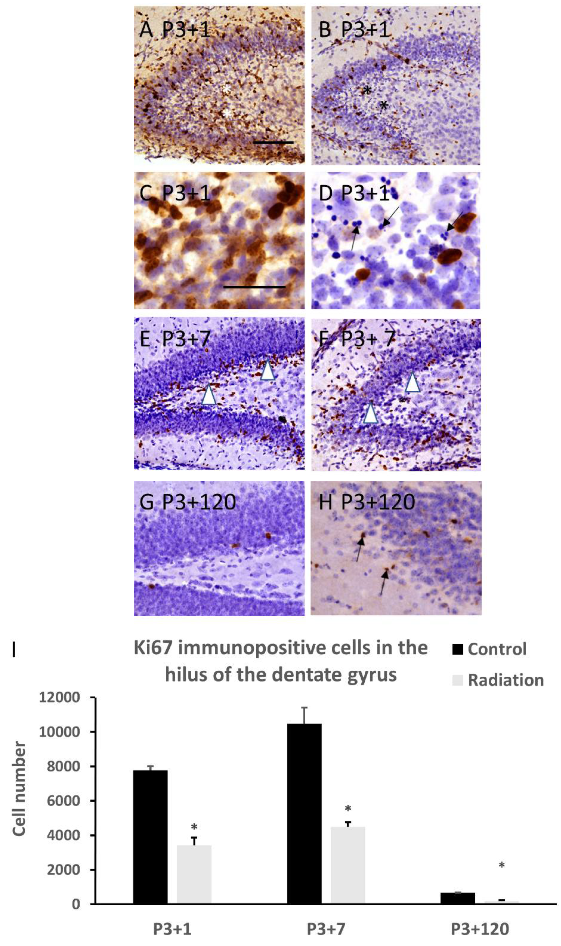 Cells 10 02476 g003 550