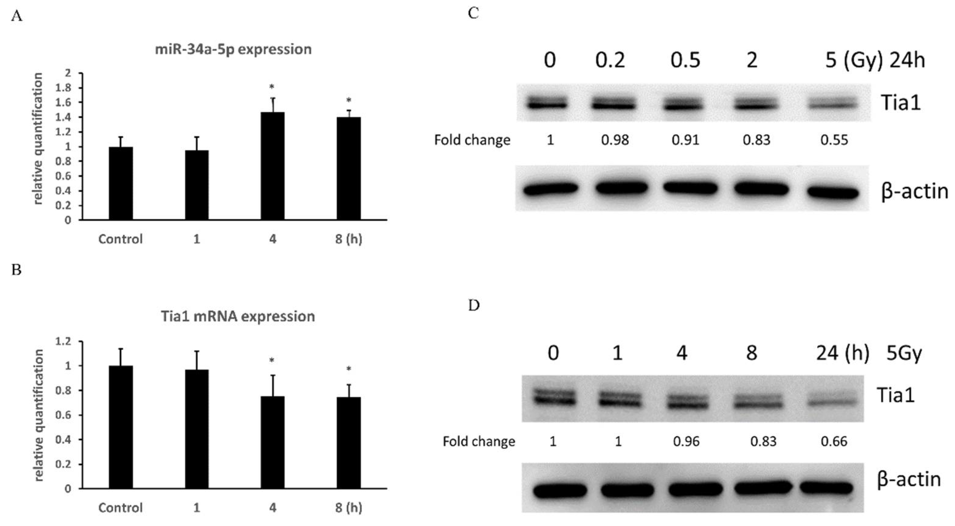 Cells 10 02476 g008 550
