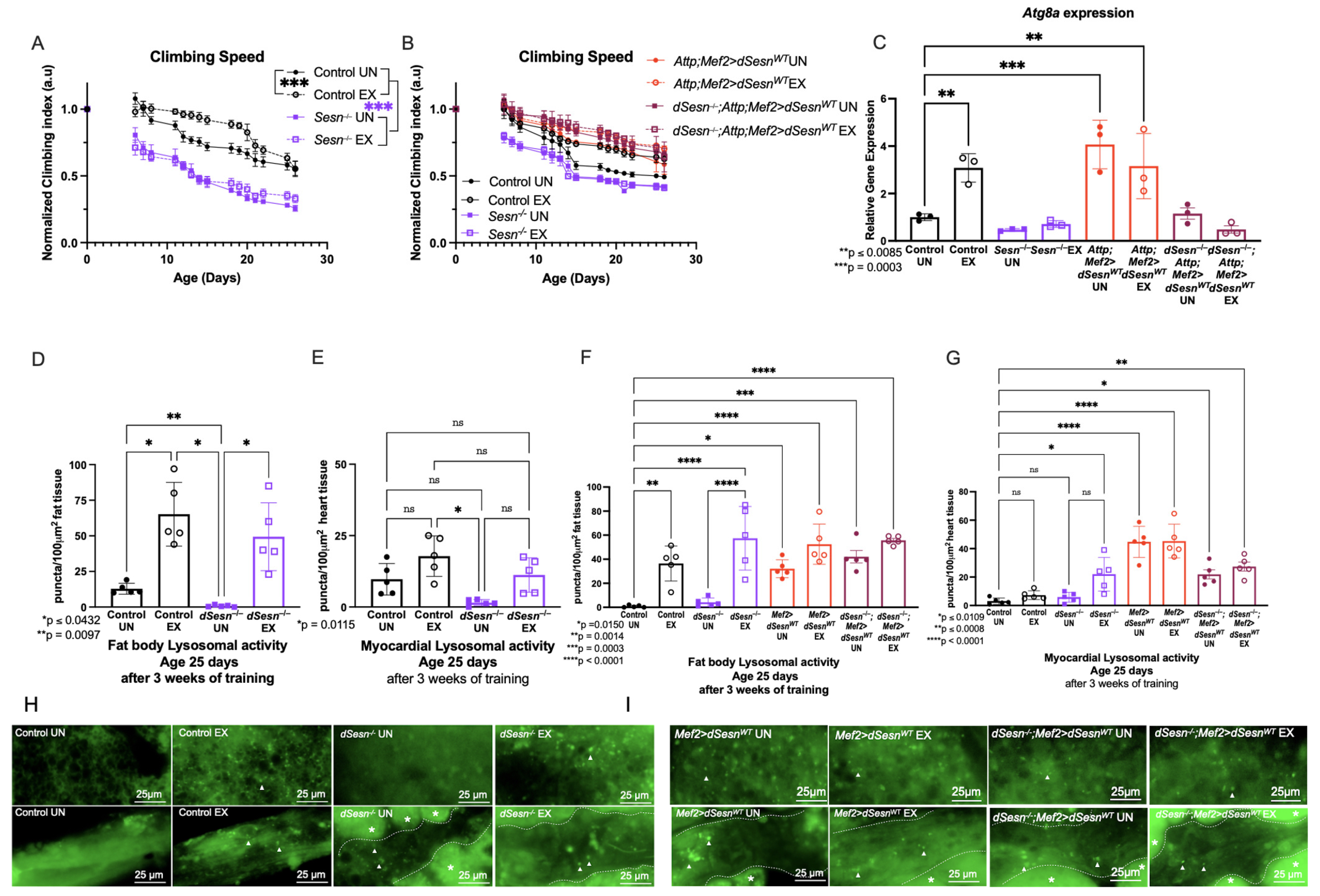 Cells 10 02479 g001 550